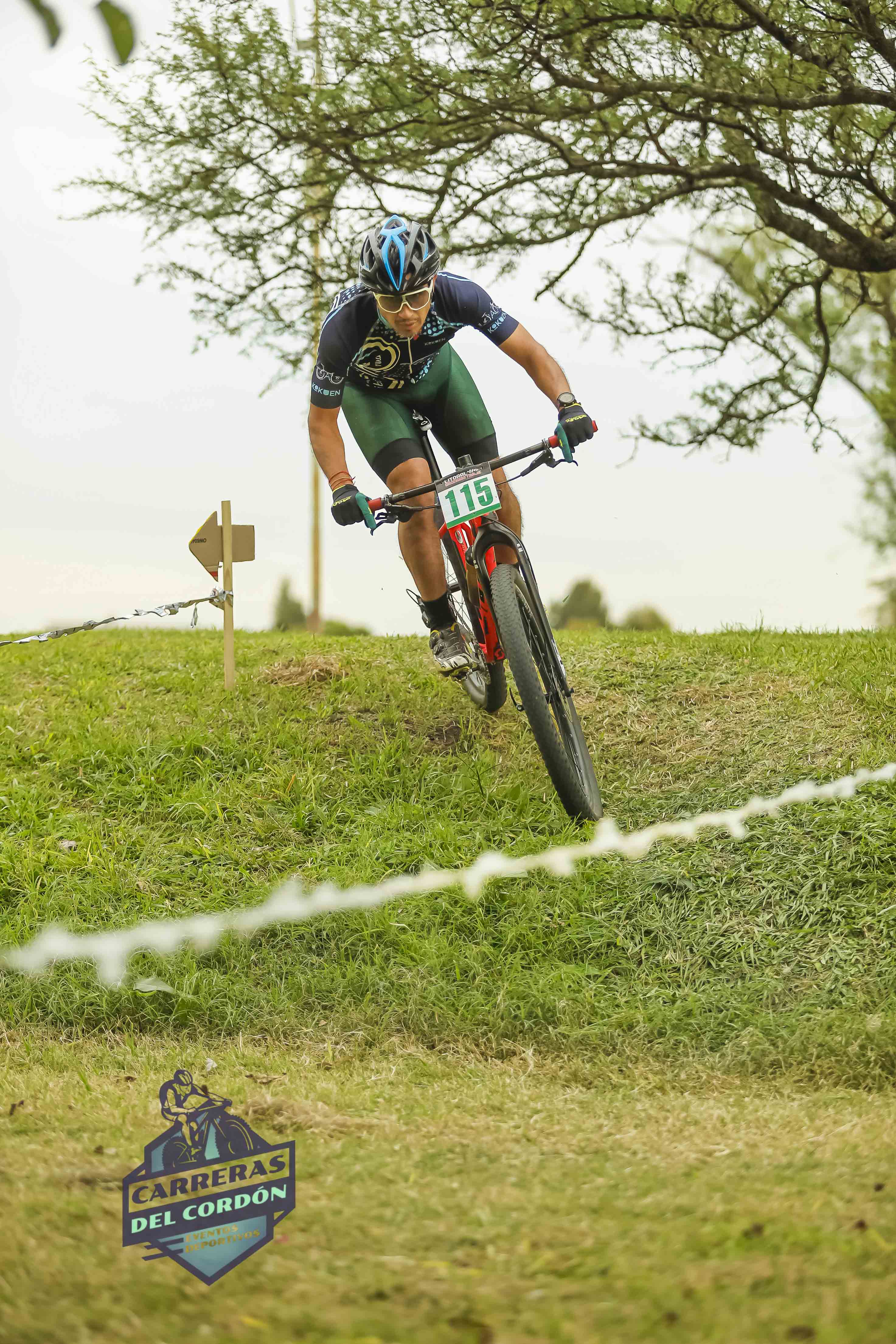 Foto Dorsal 115