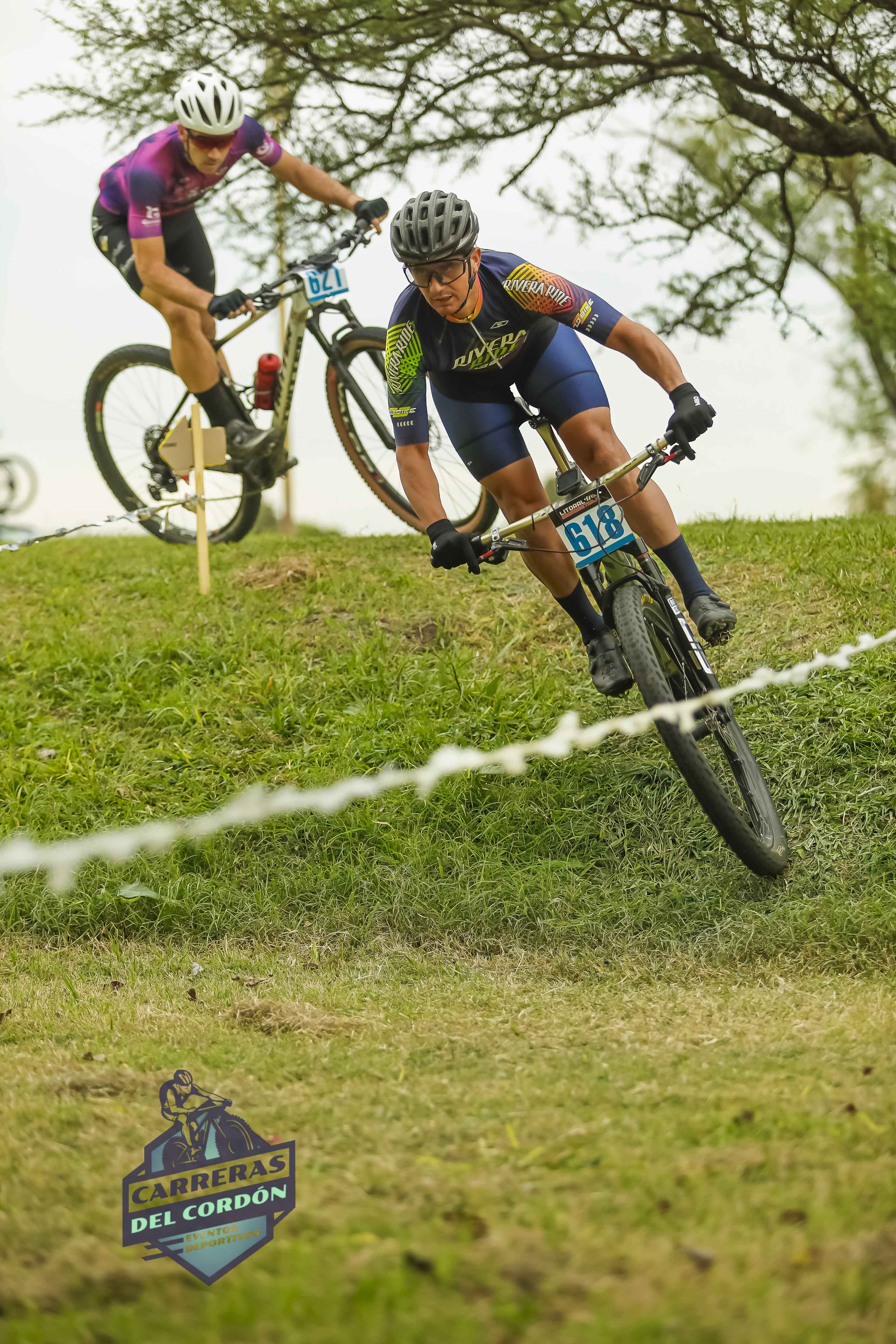 Foto Dorsal 618