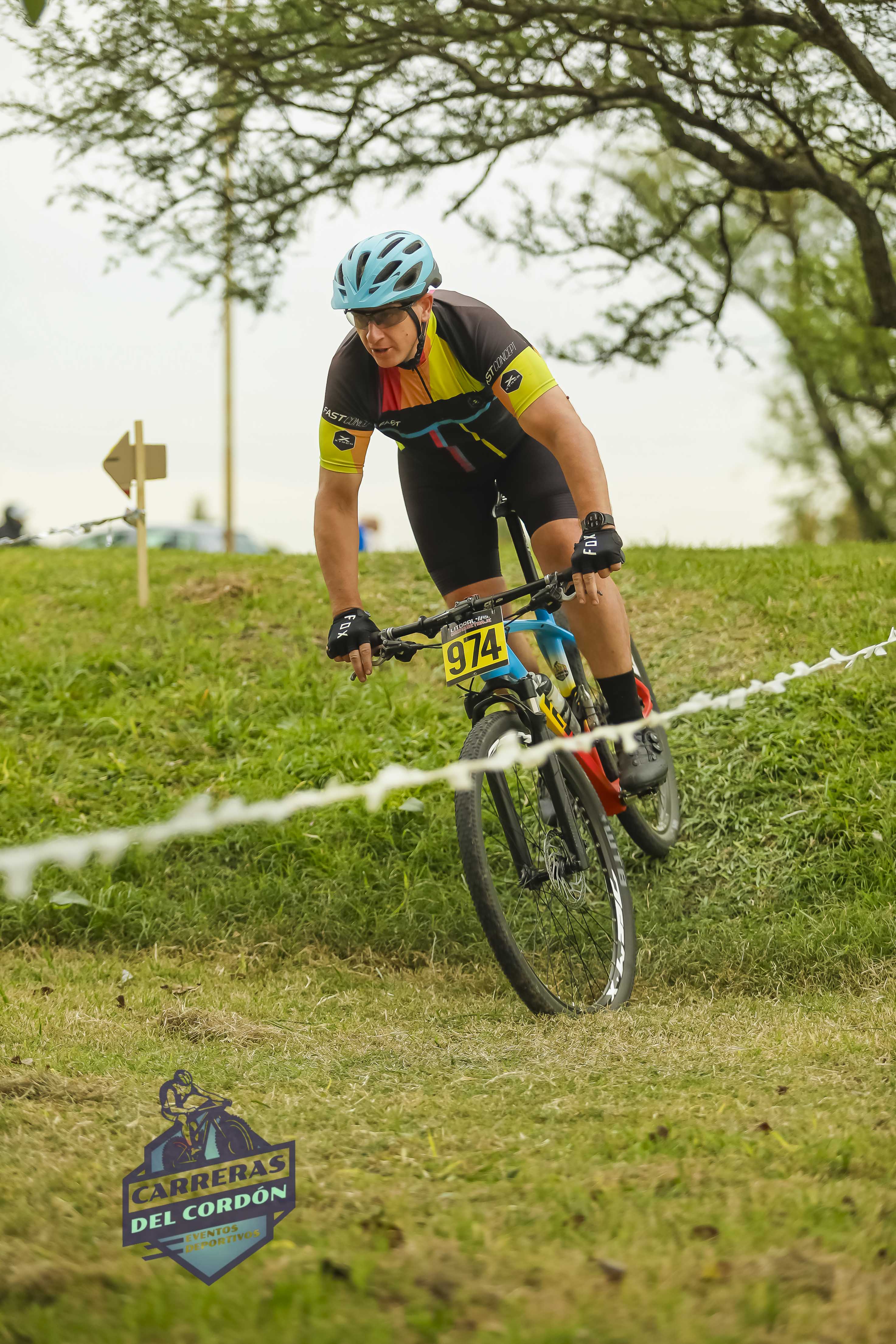 Foto Dorsal 974