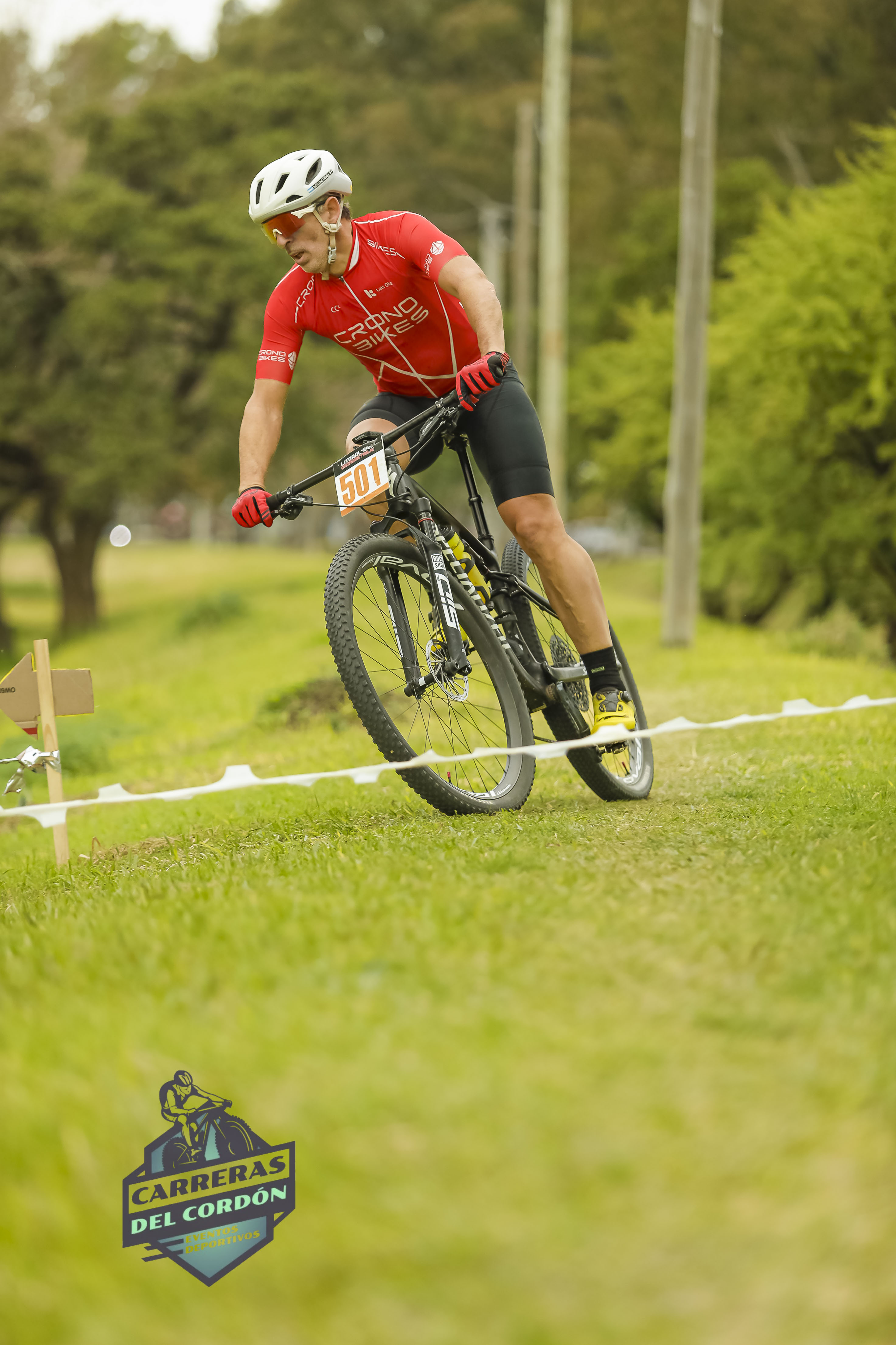 Foto Dorsal 501