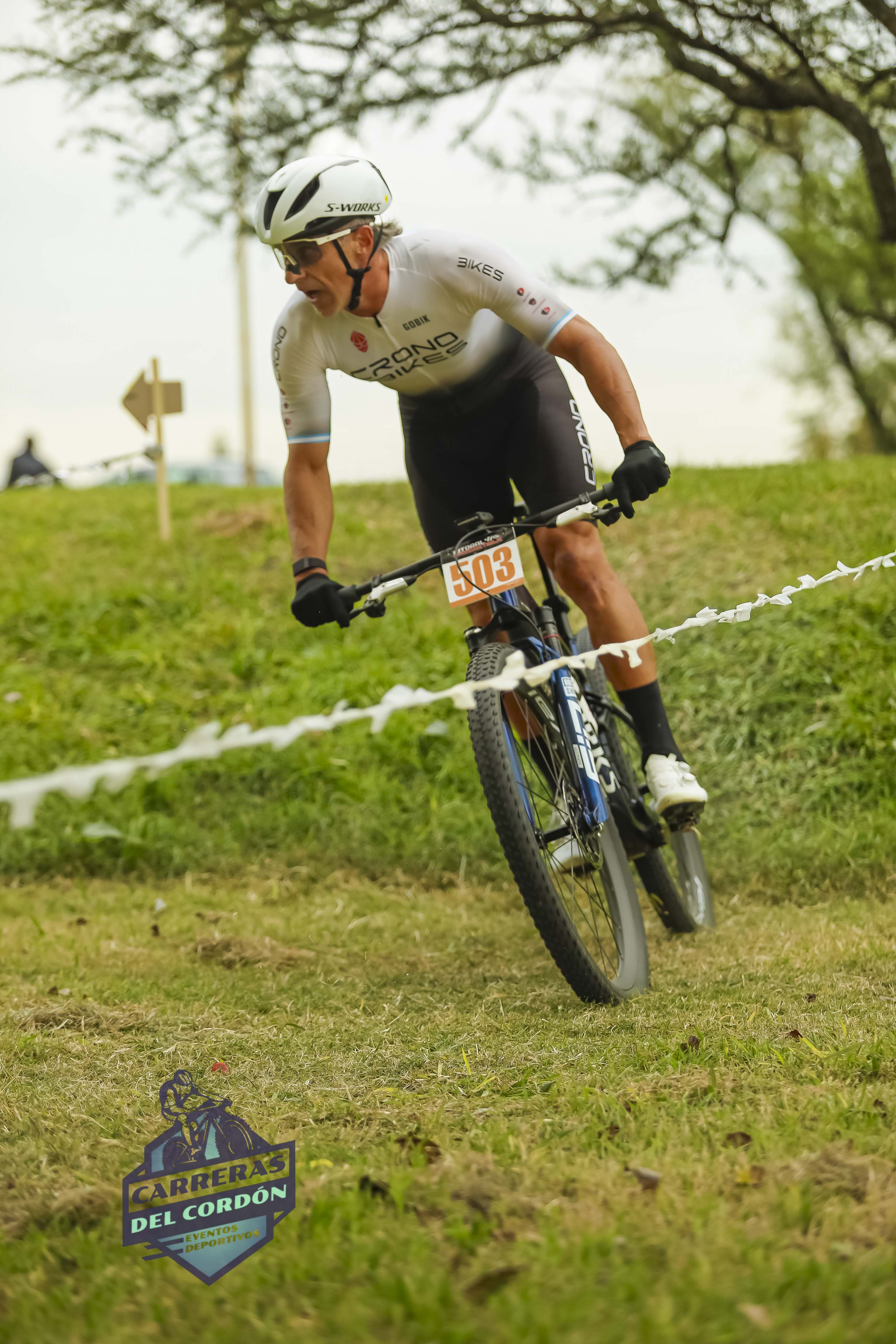 Foto Dorsal 503