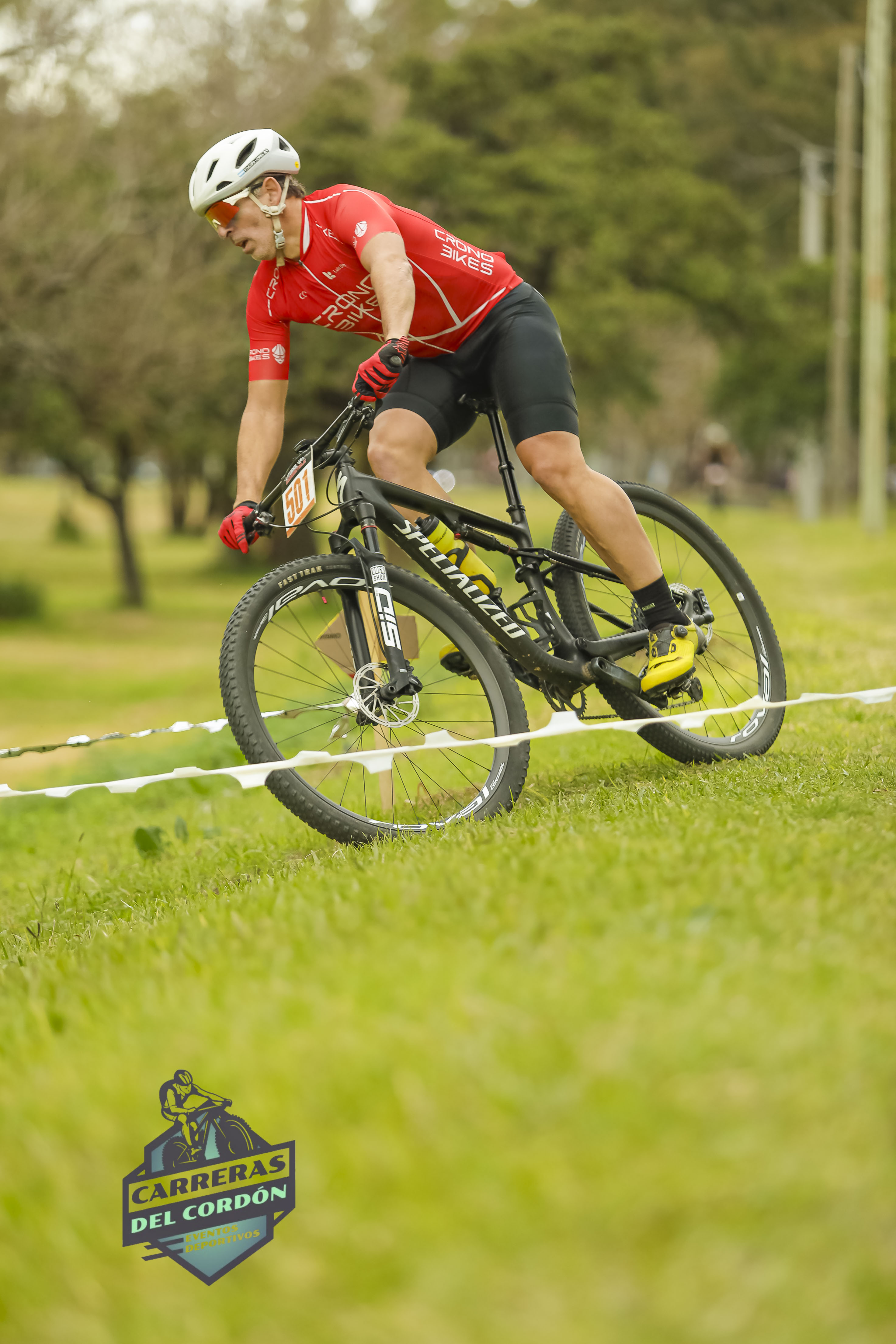 Foto Dorsal 501