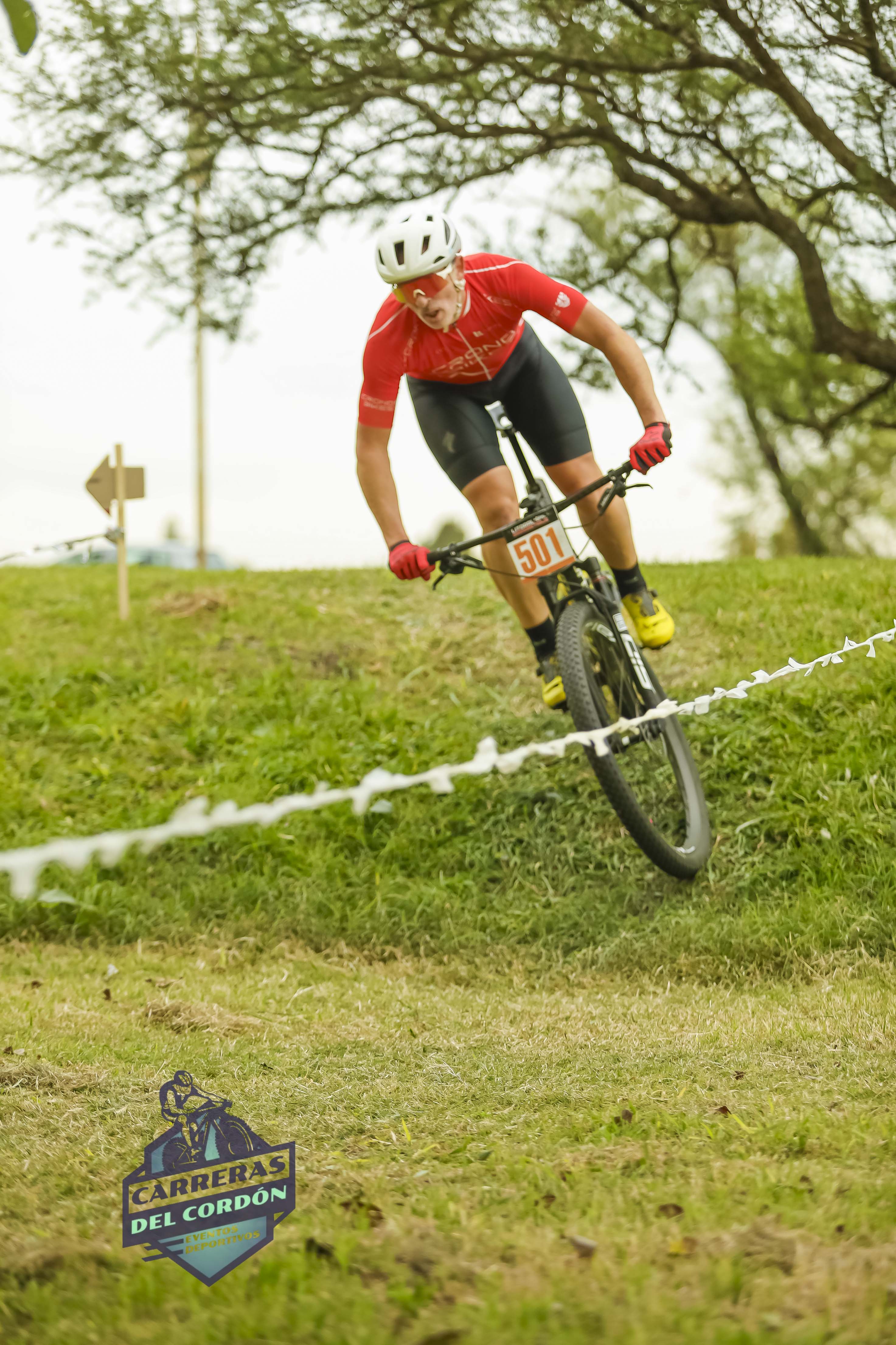 Foto Dorsal 501