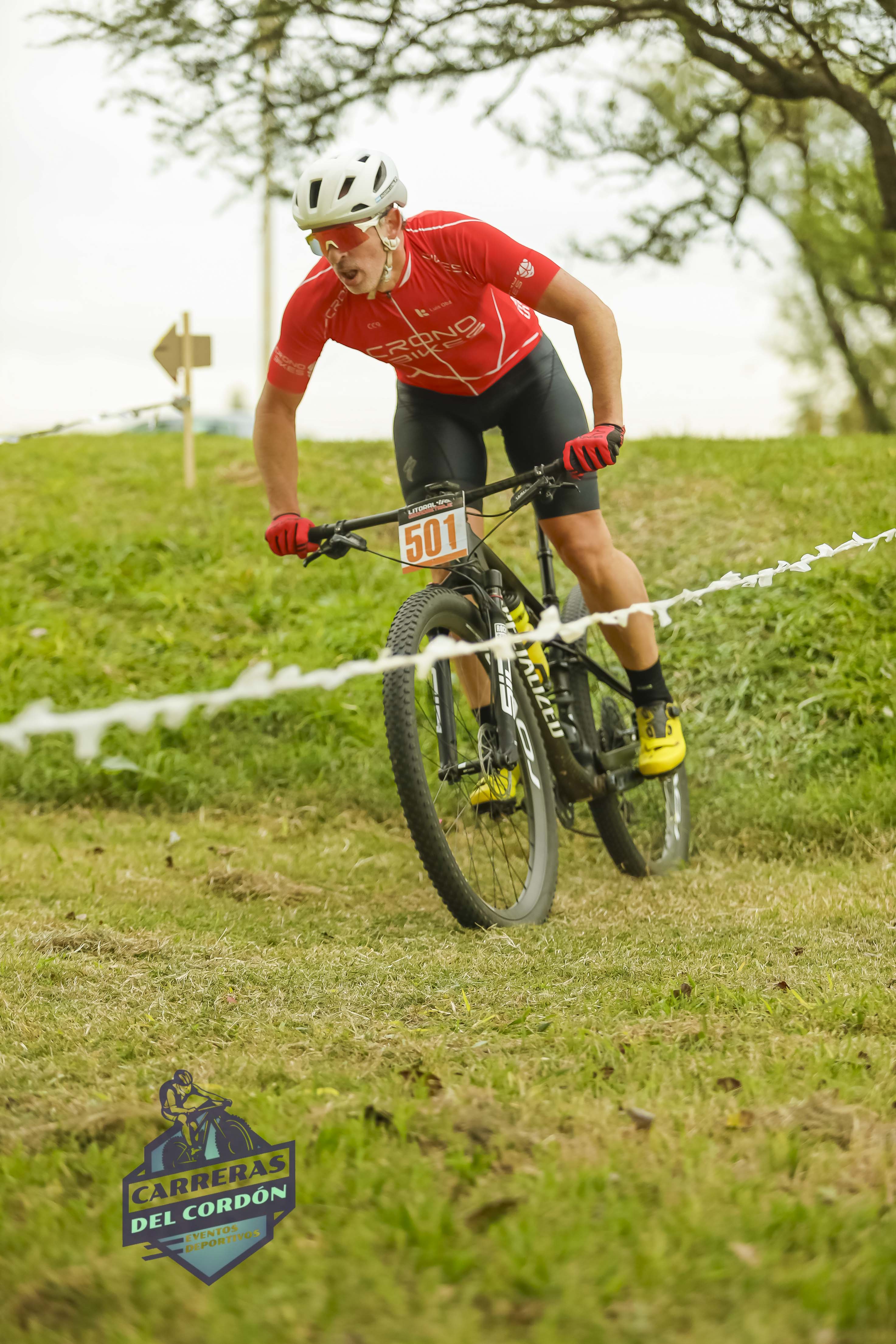 Foto Dorsal 501