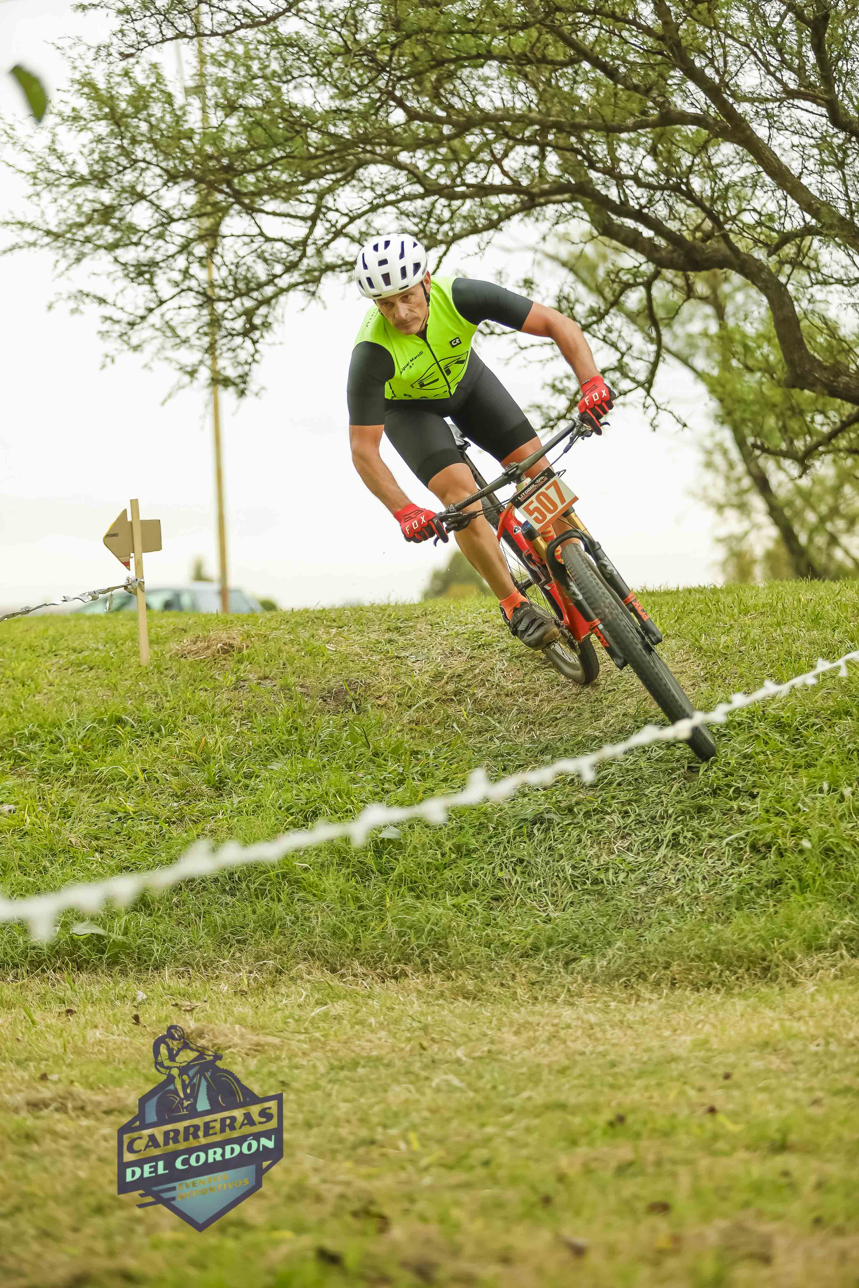 Foto Dorsal 507