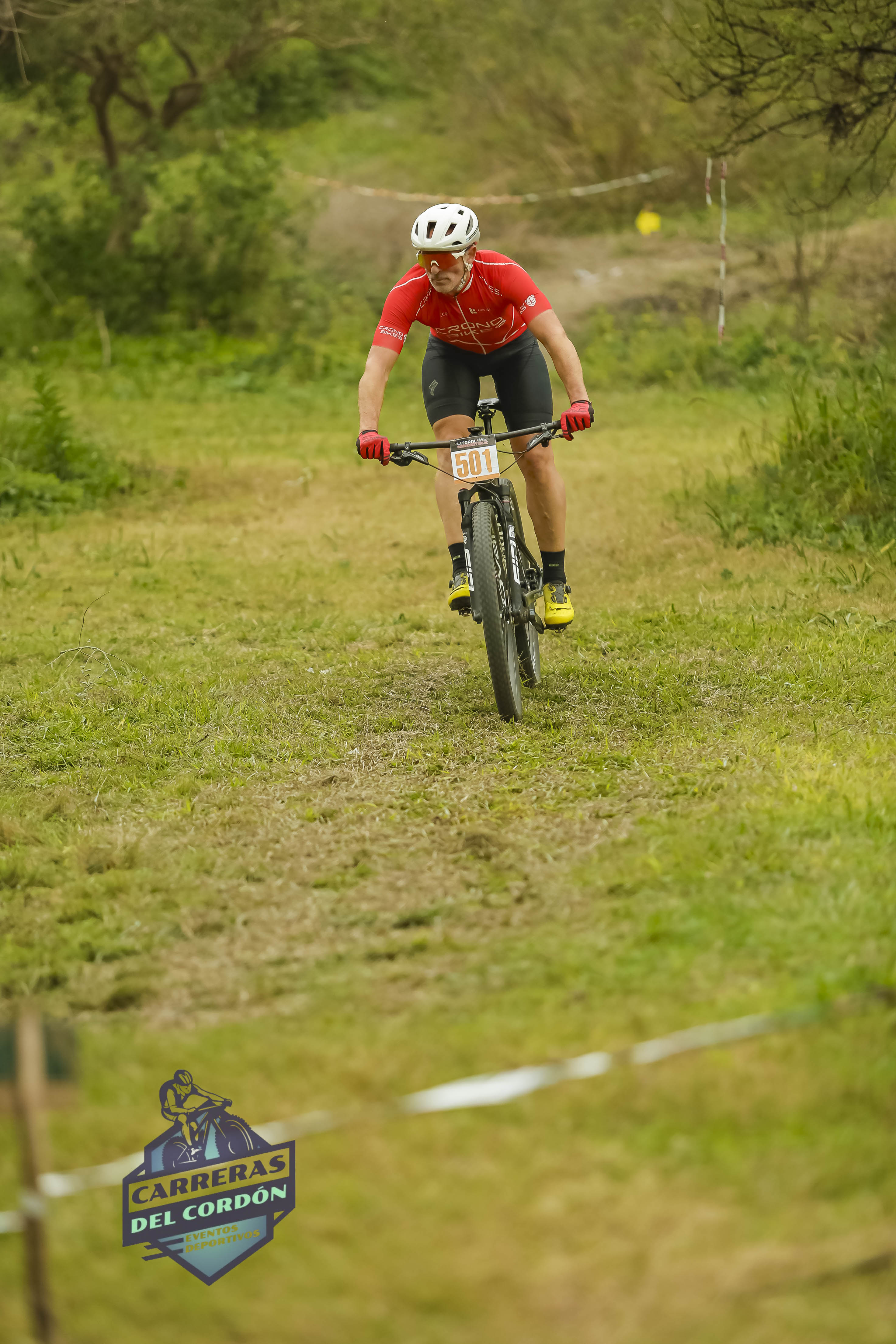 Foto Dorsal 501