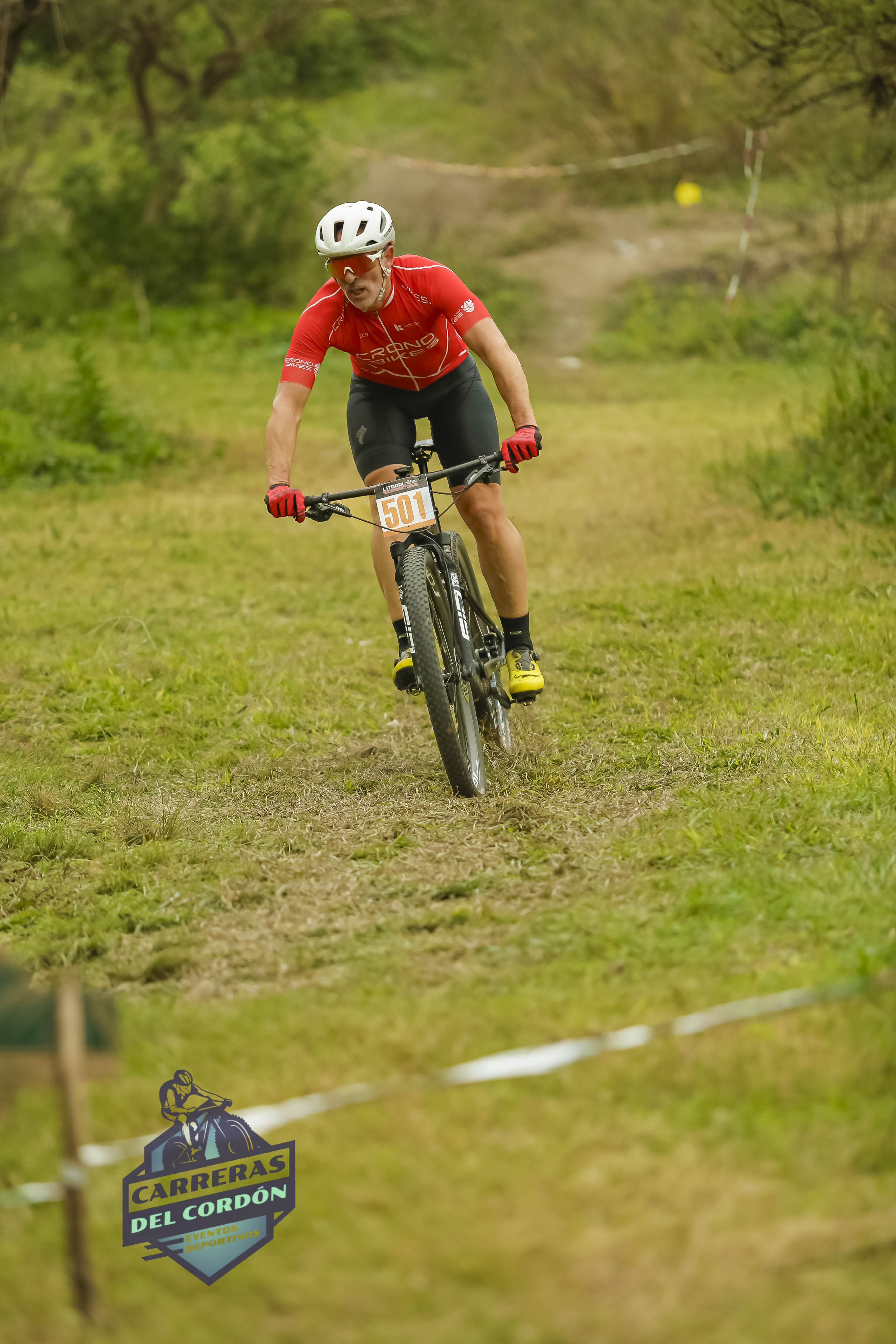 Foto Dorsal 501