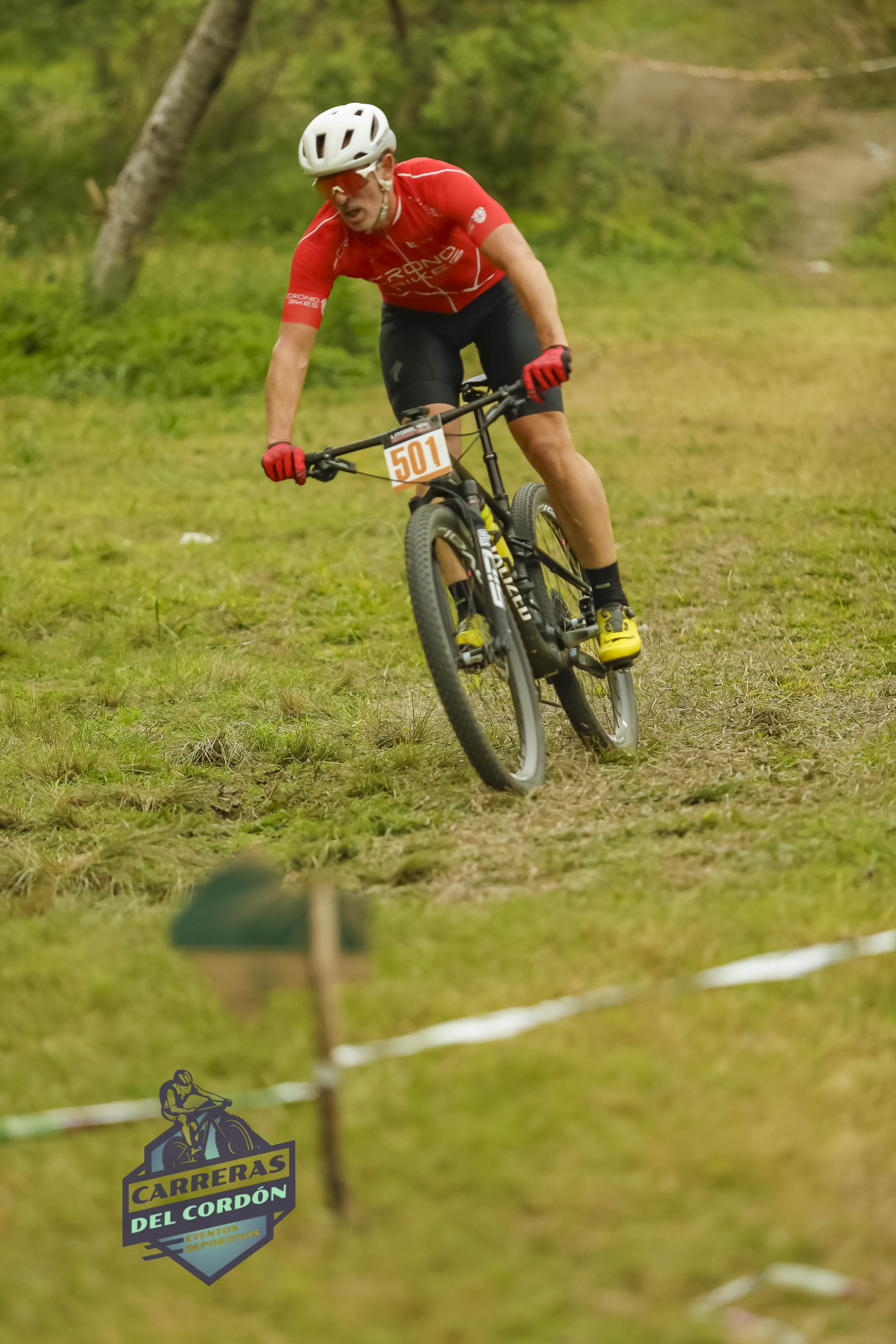 Foto Dorsal 501