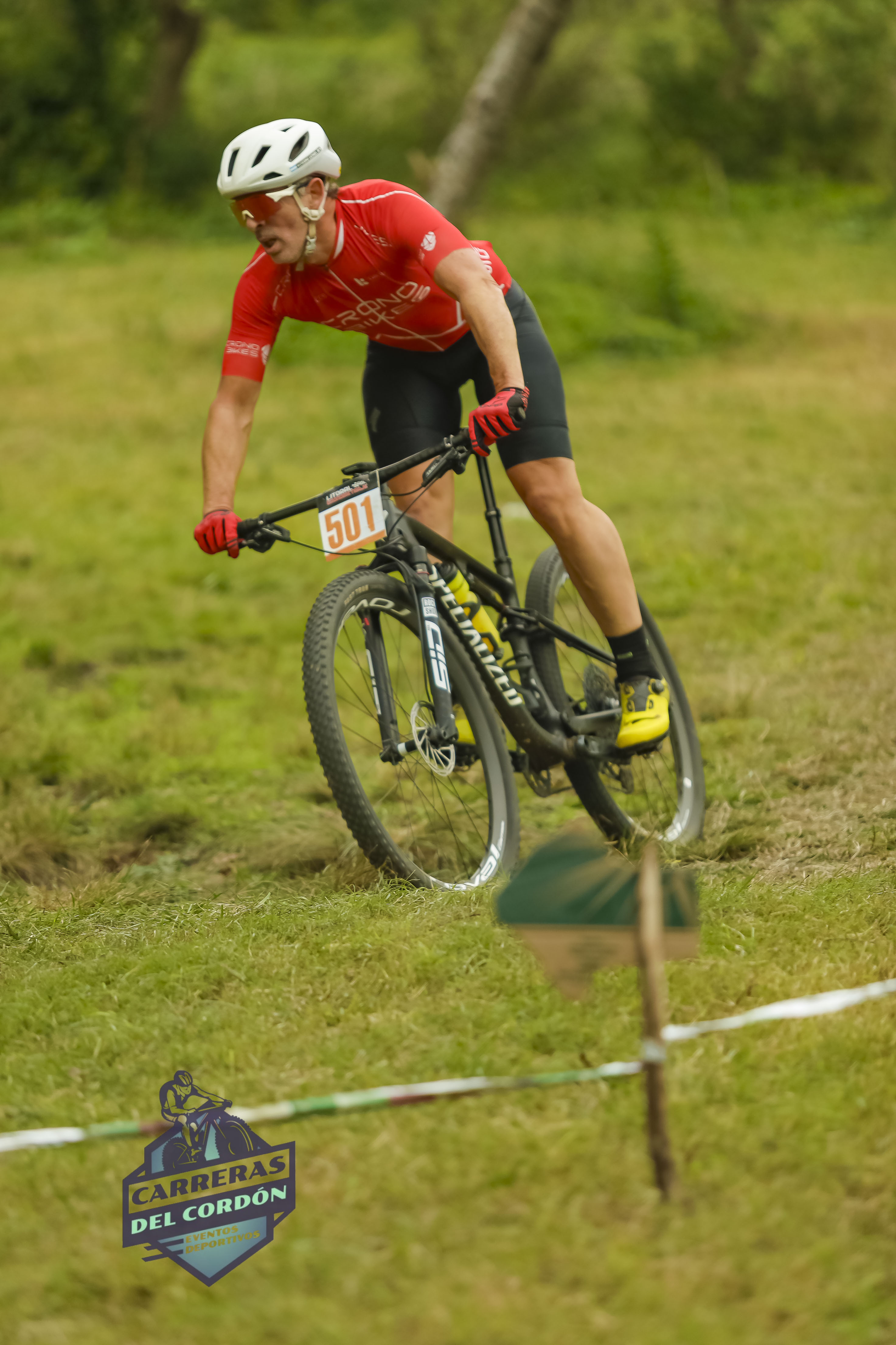 Foto Dorsal 501