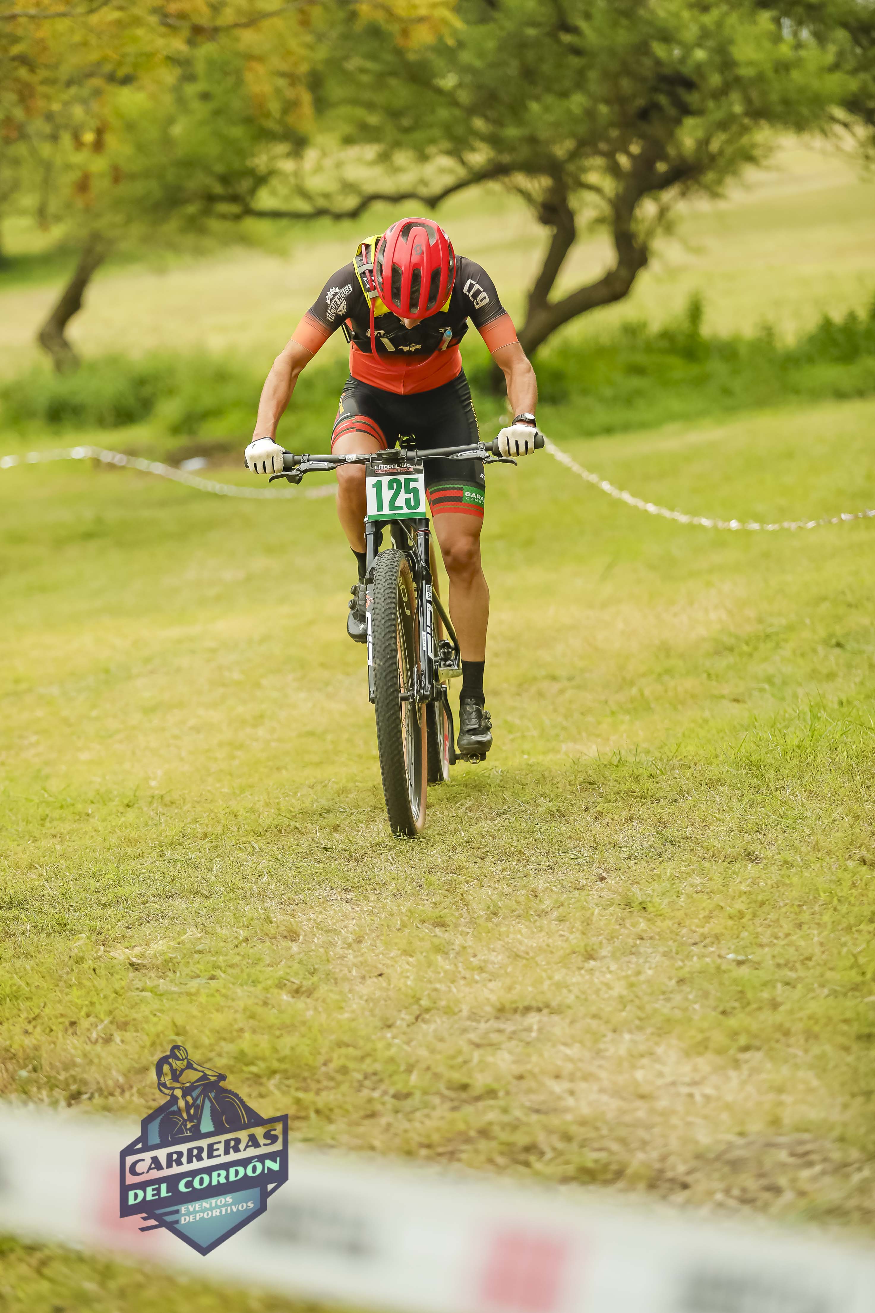 Foto Dorsal 125