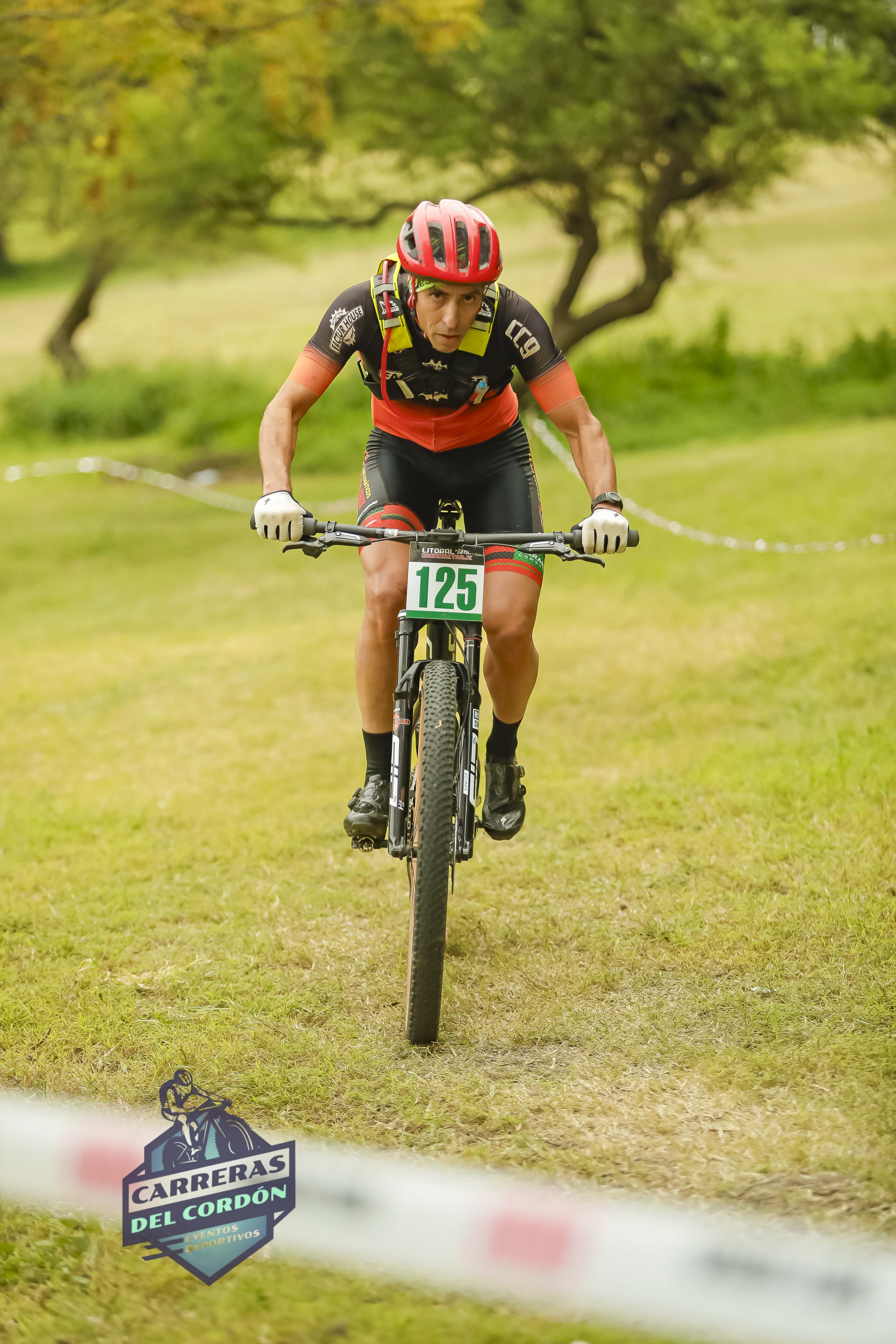 Foto Dorsal 125