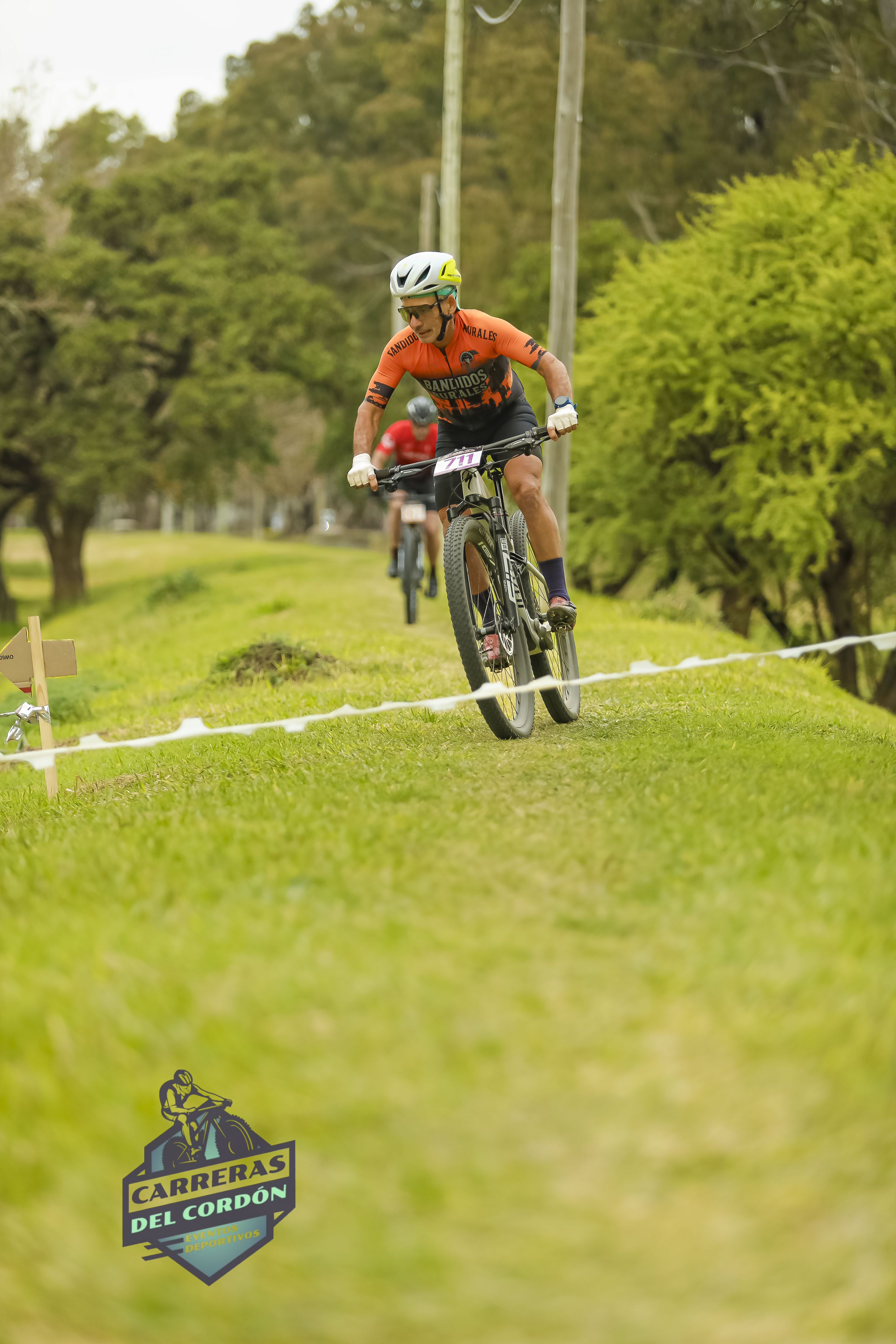 Foto Dorsal 711