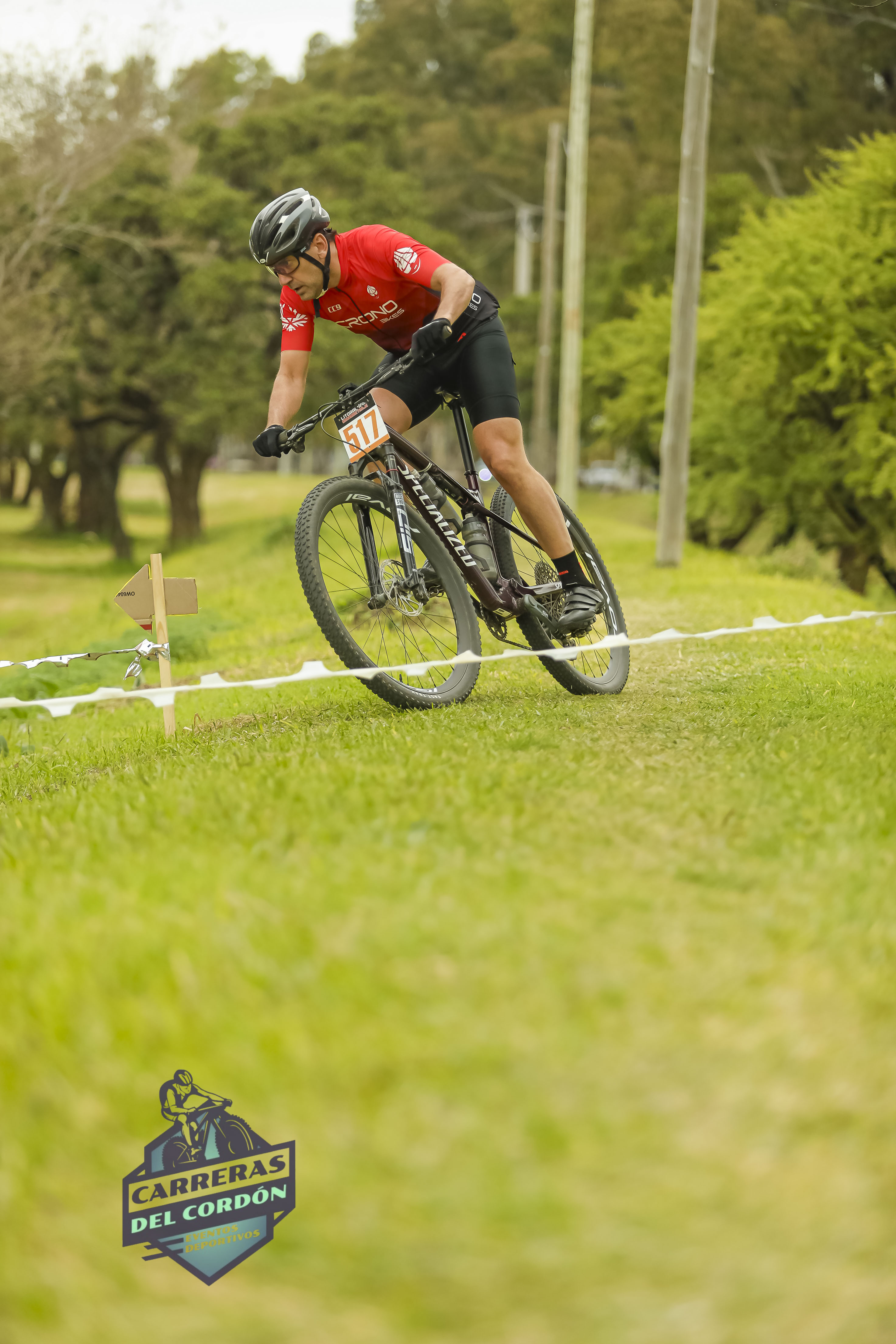 Foto Dorsal 517