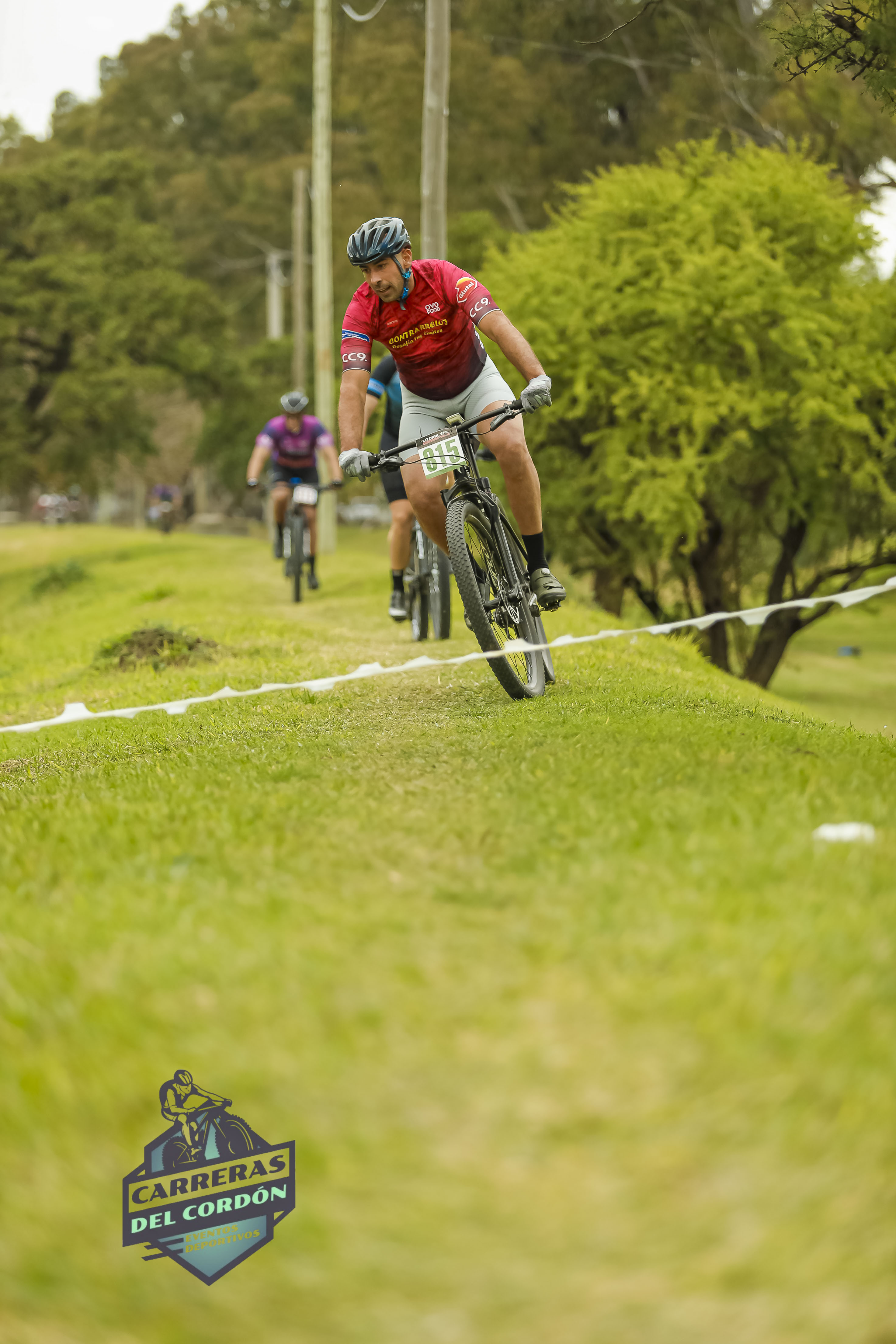 Foto Dorsal 815