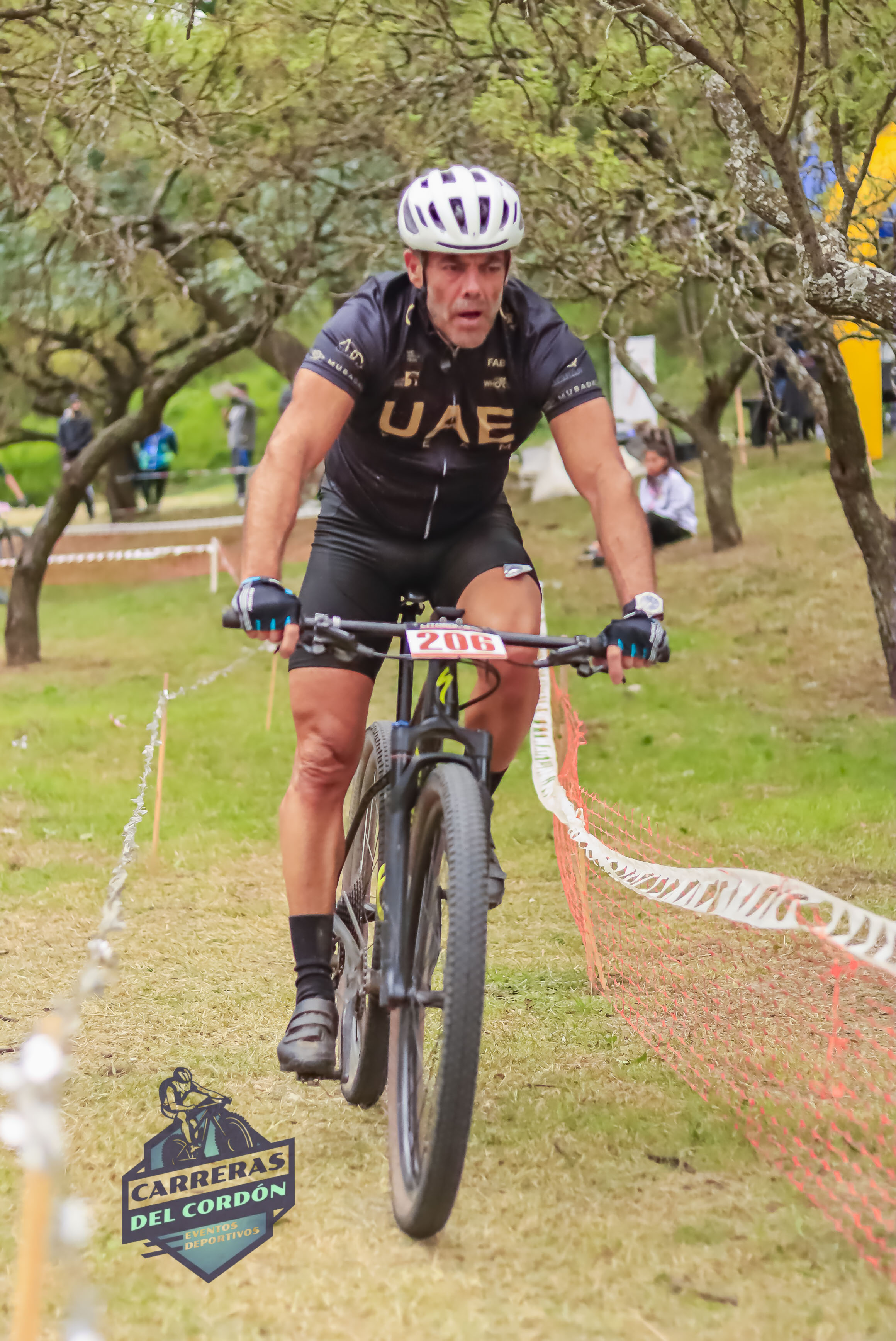 Foto Dorsal 206
