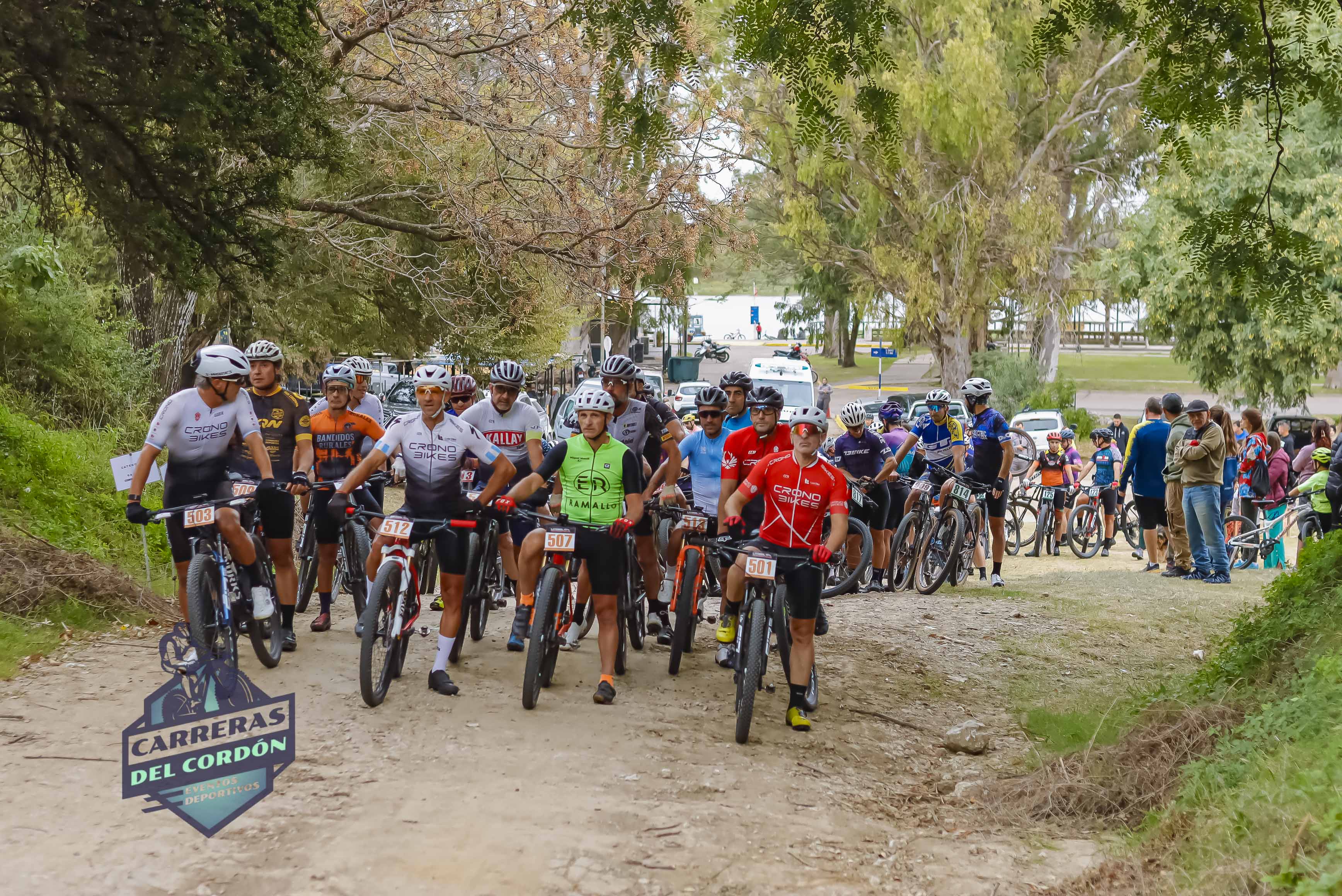 Foto Dorsal 507