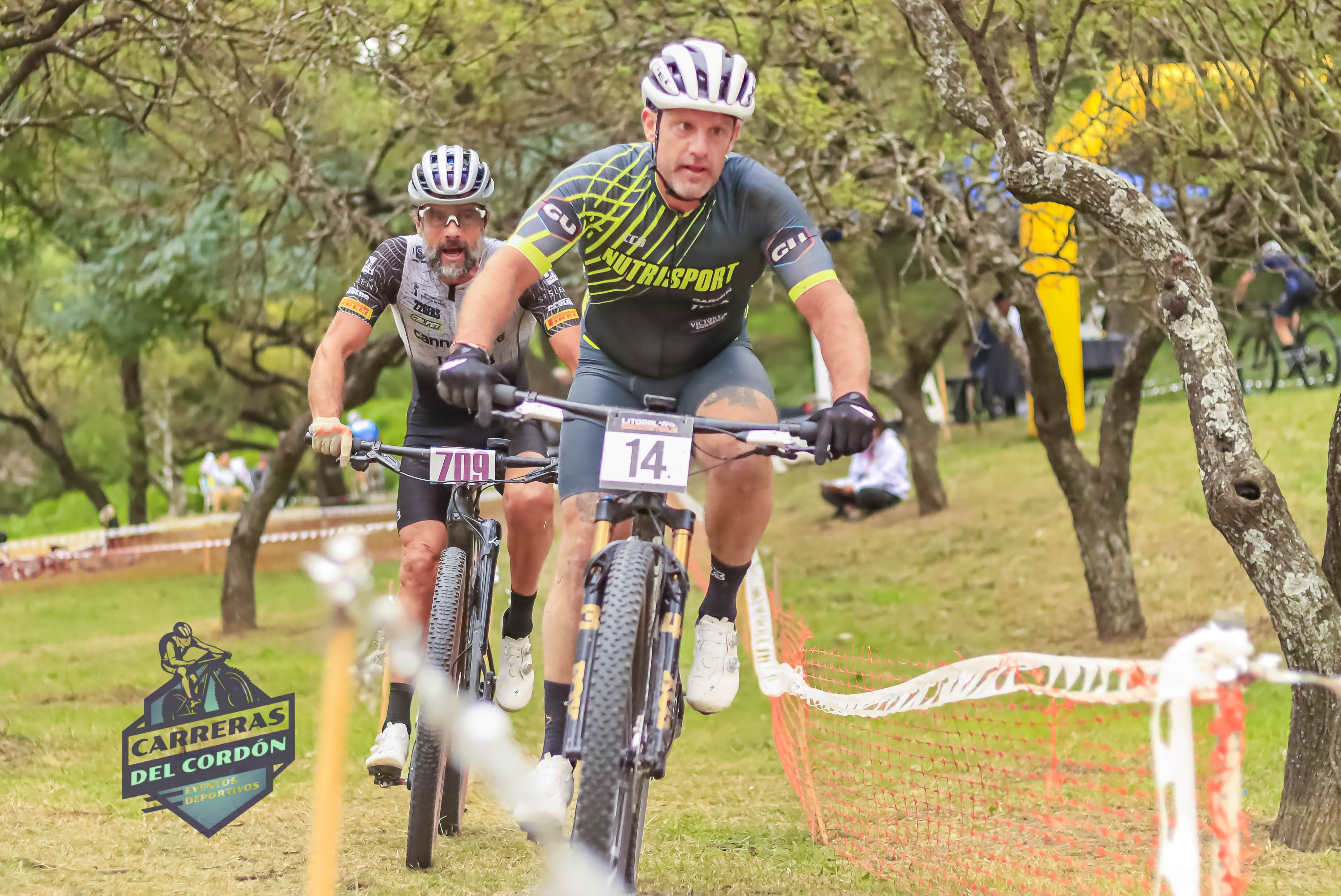 Foto Dorsal 14