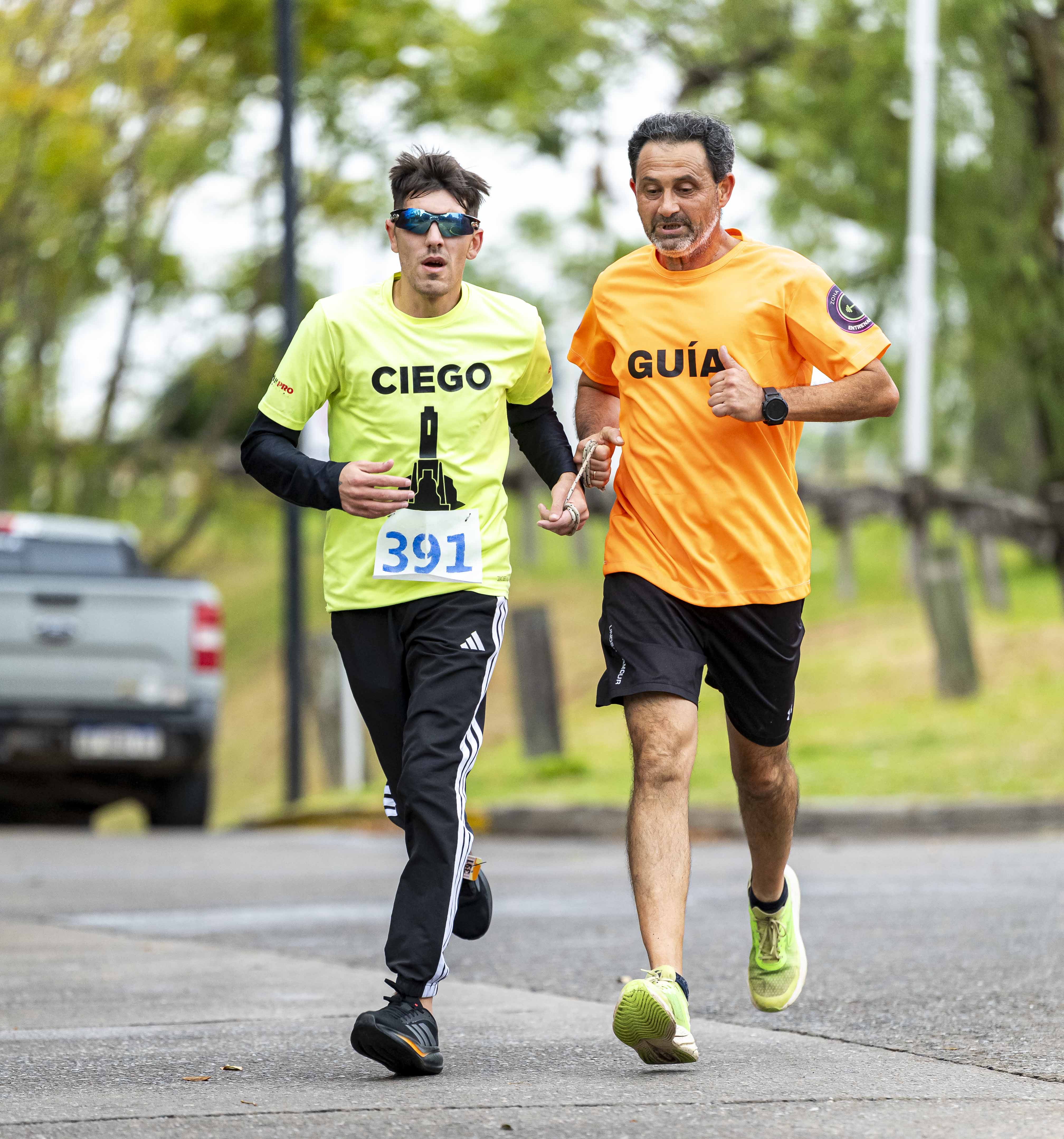 Foto Dorsal 391