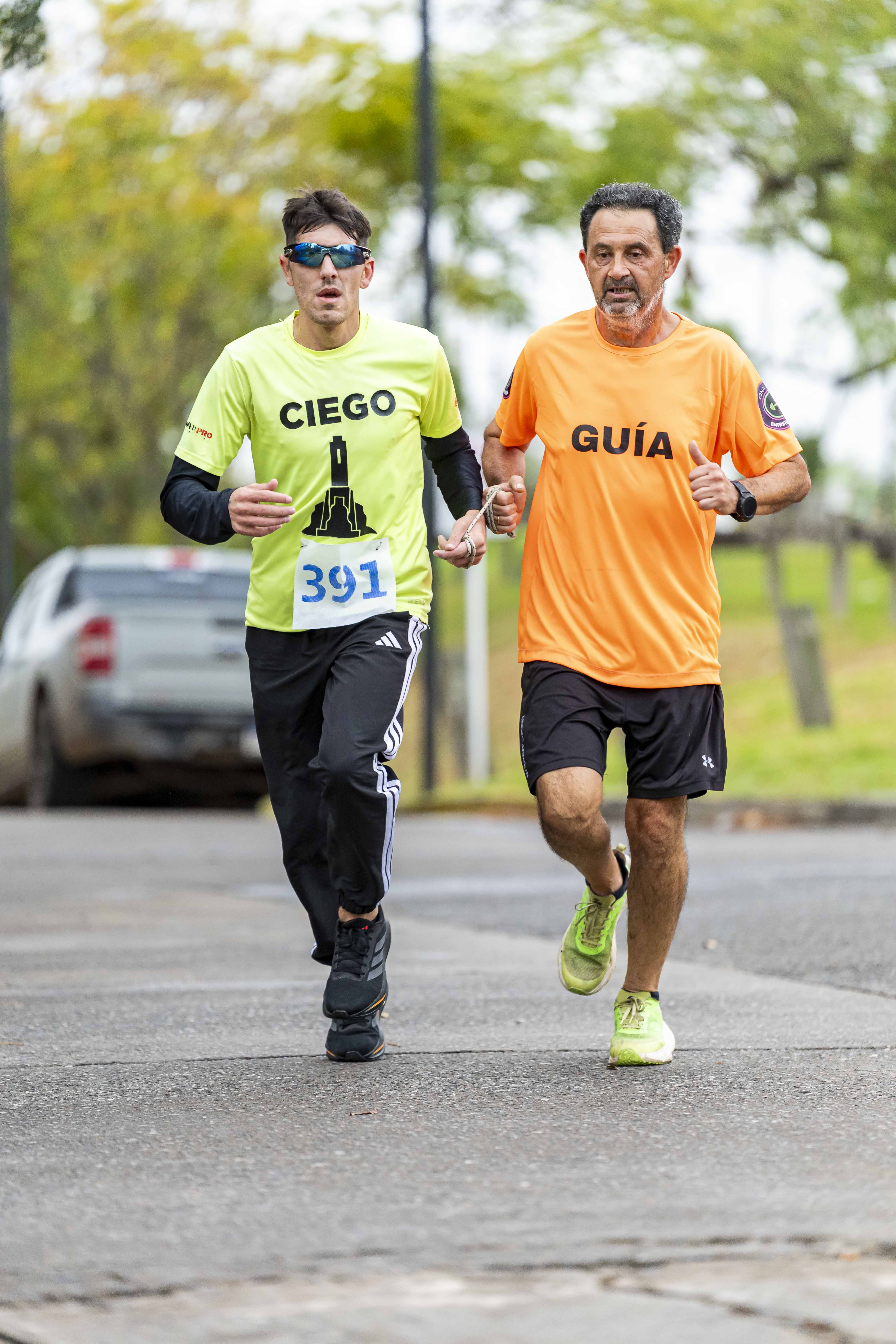 Foto Dorsal 391