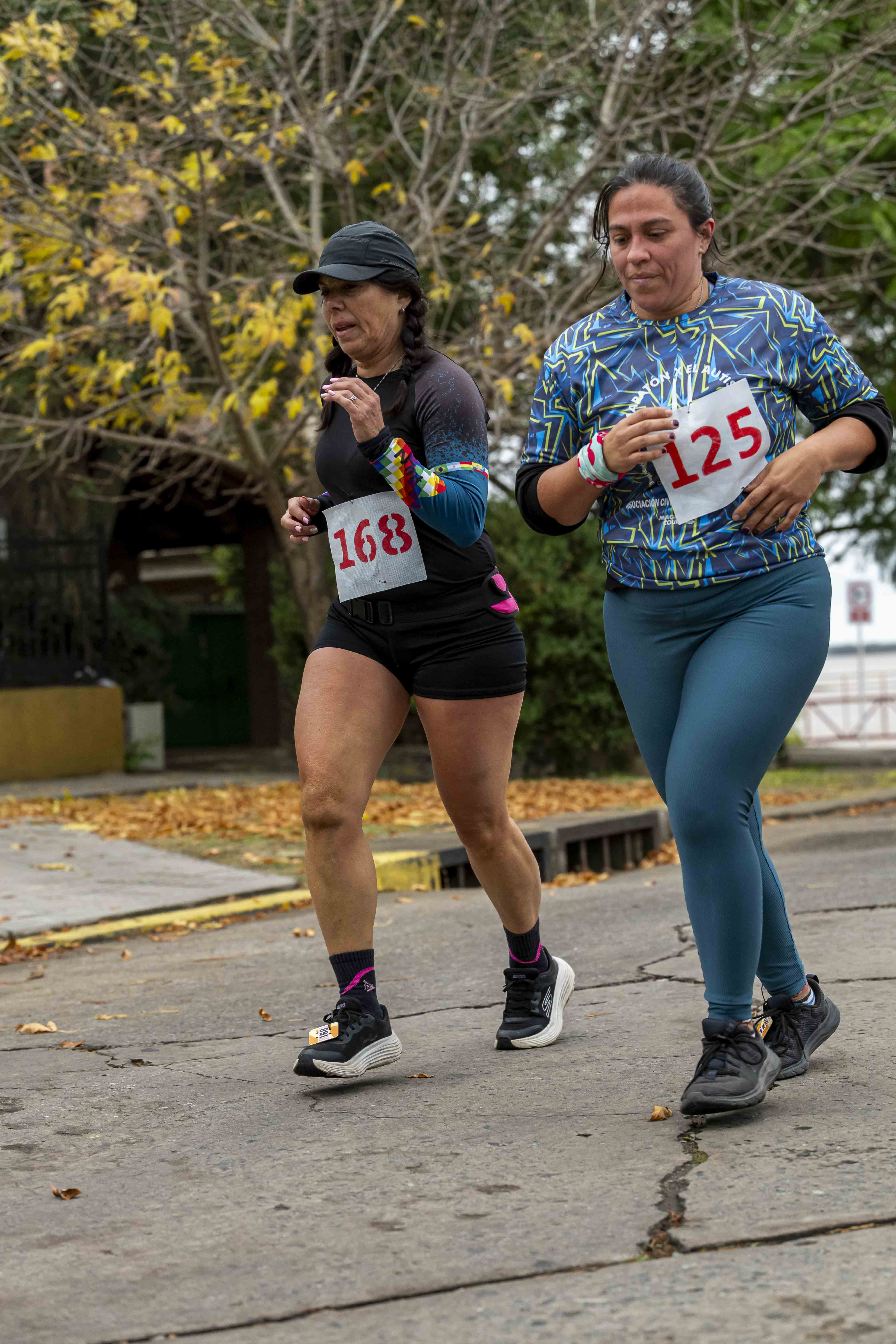 Foto Dorsal 168