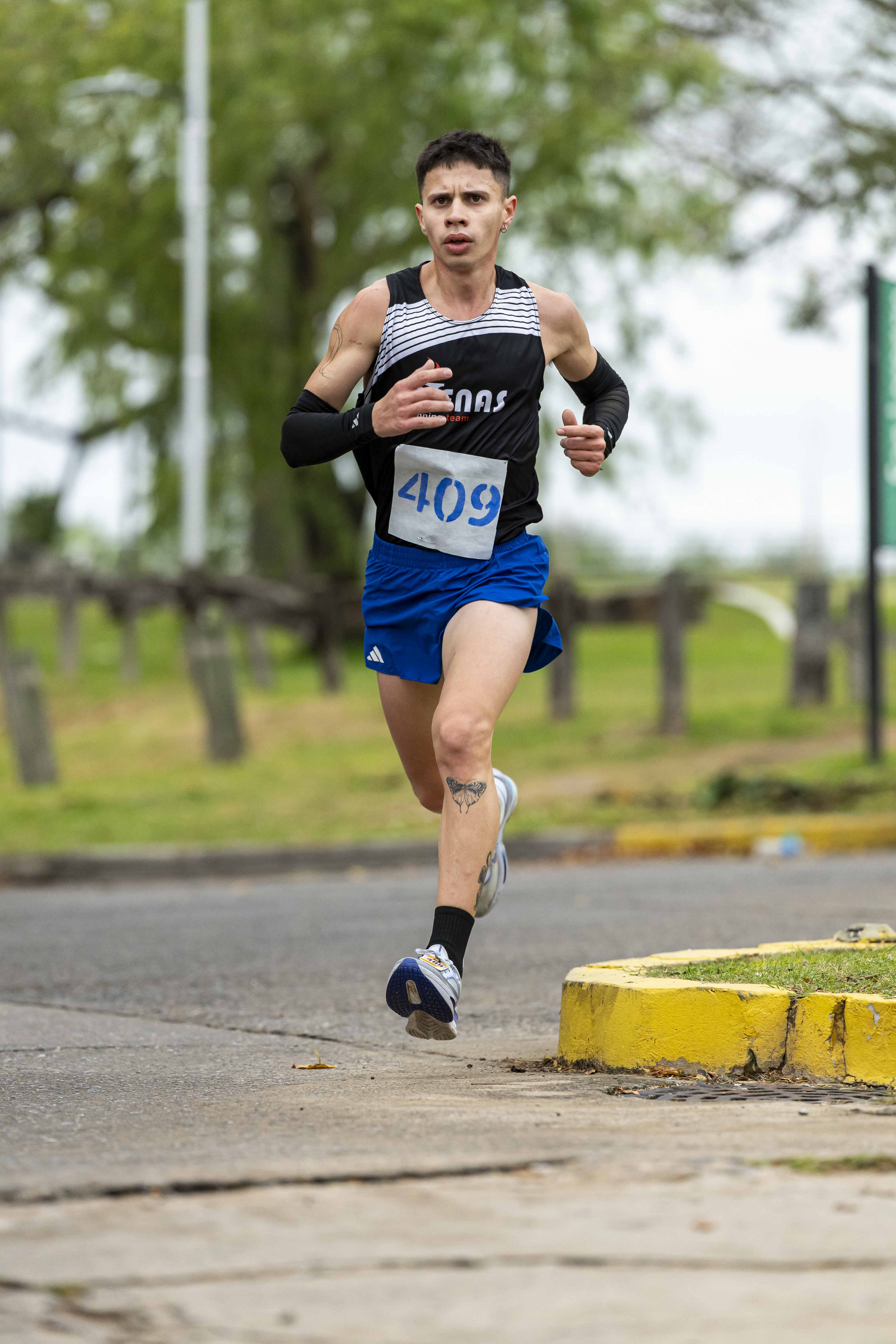 Foto Dorsal 409