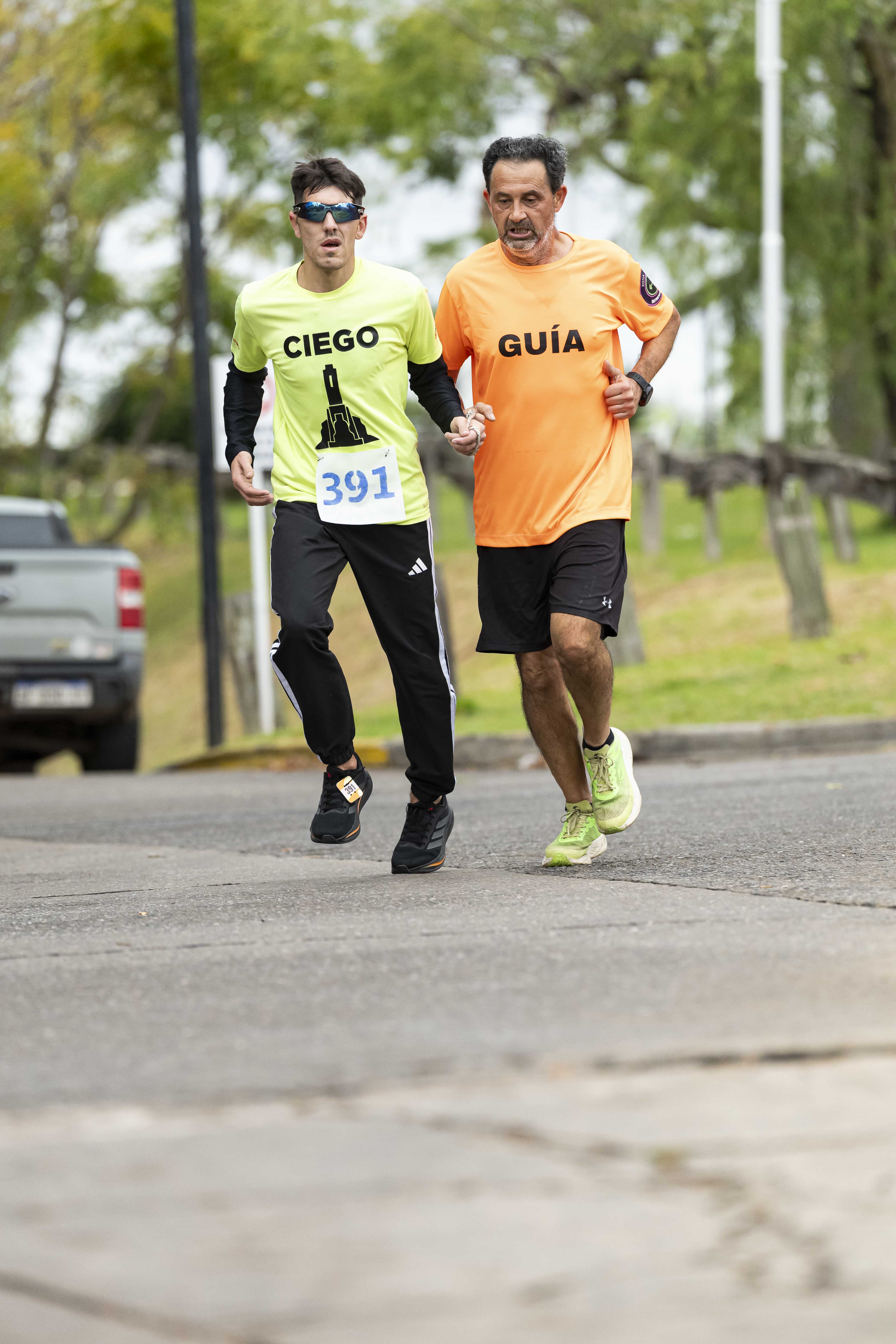 Foto Dorsal 391