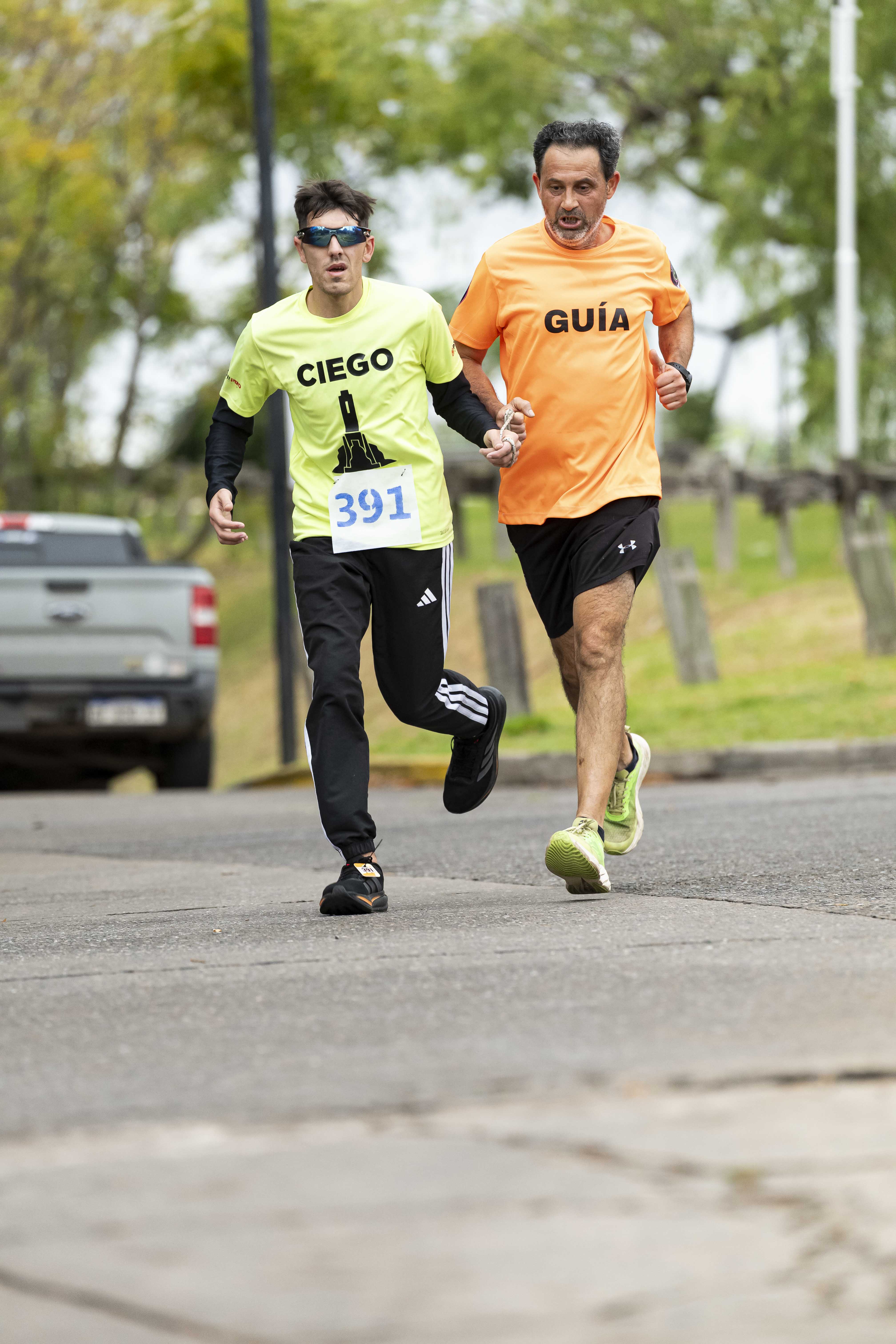 Foto Dorsal 391