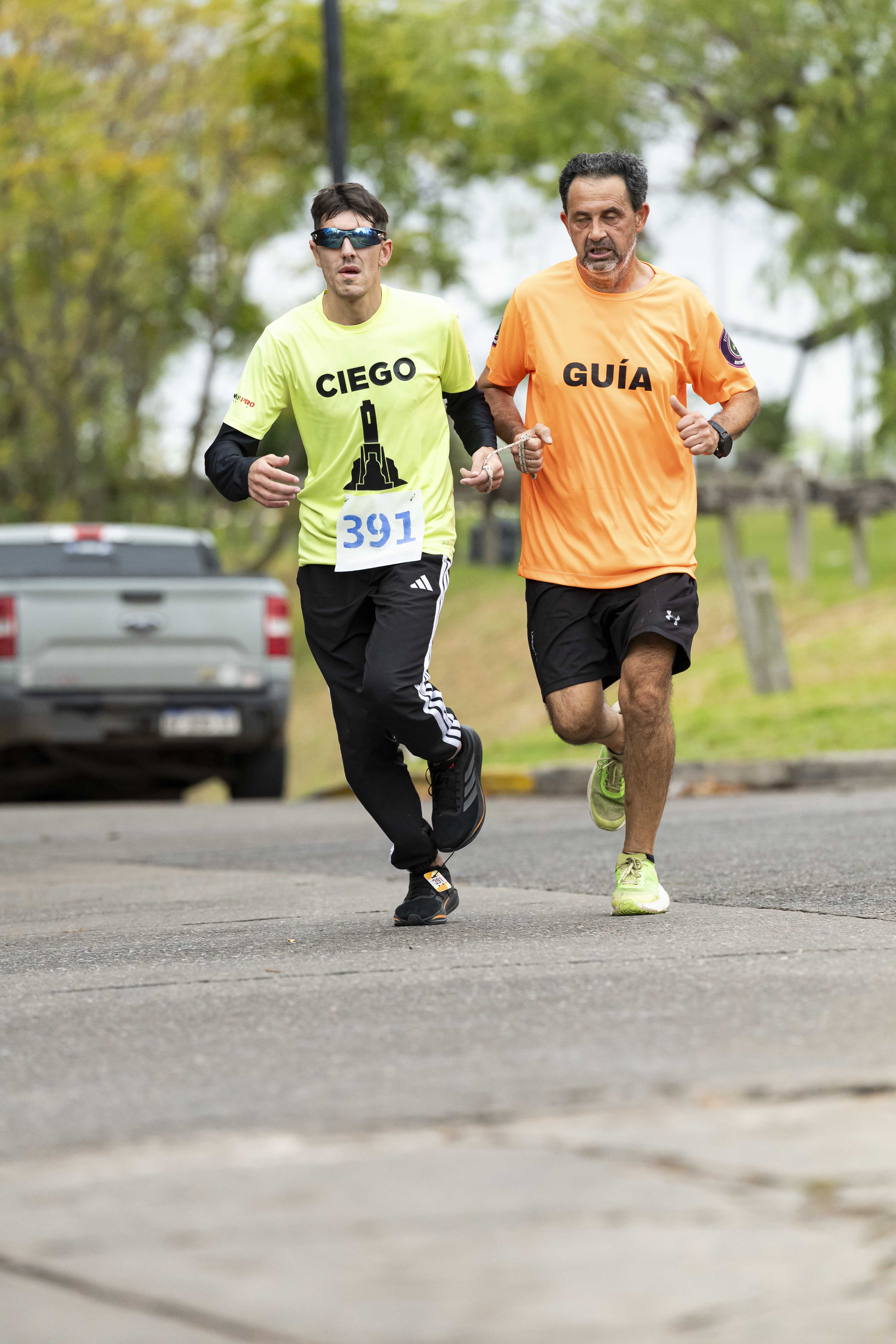 Foto Dorsal 391