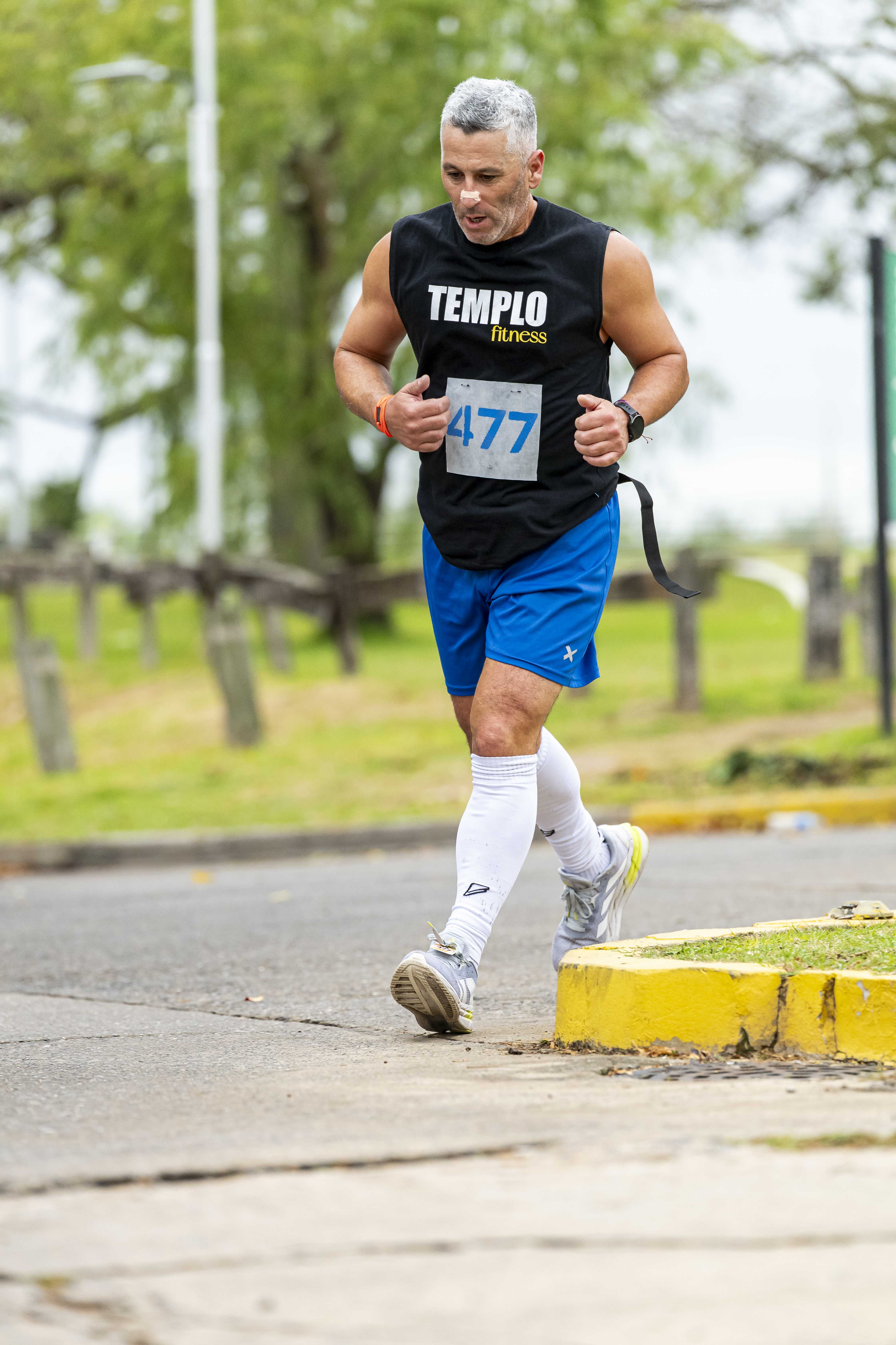 Foto Dorsal 477