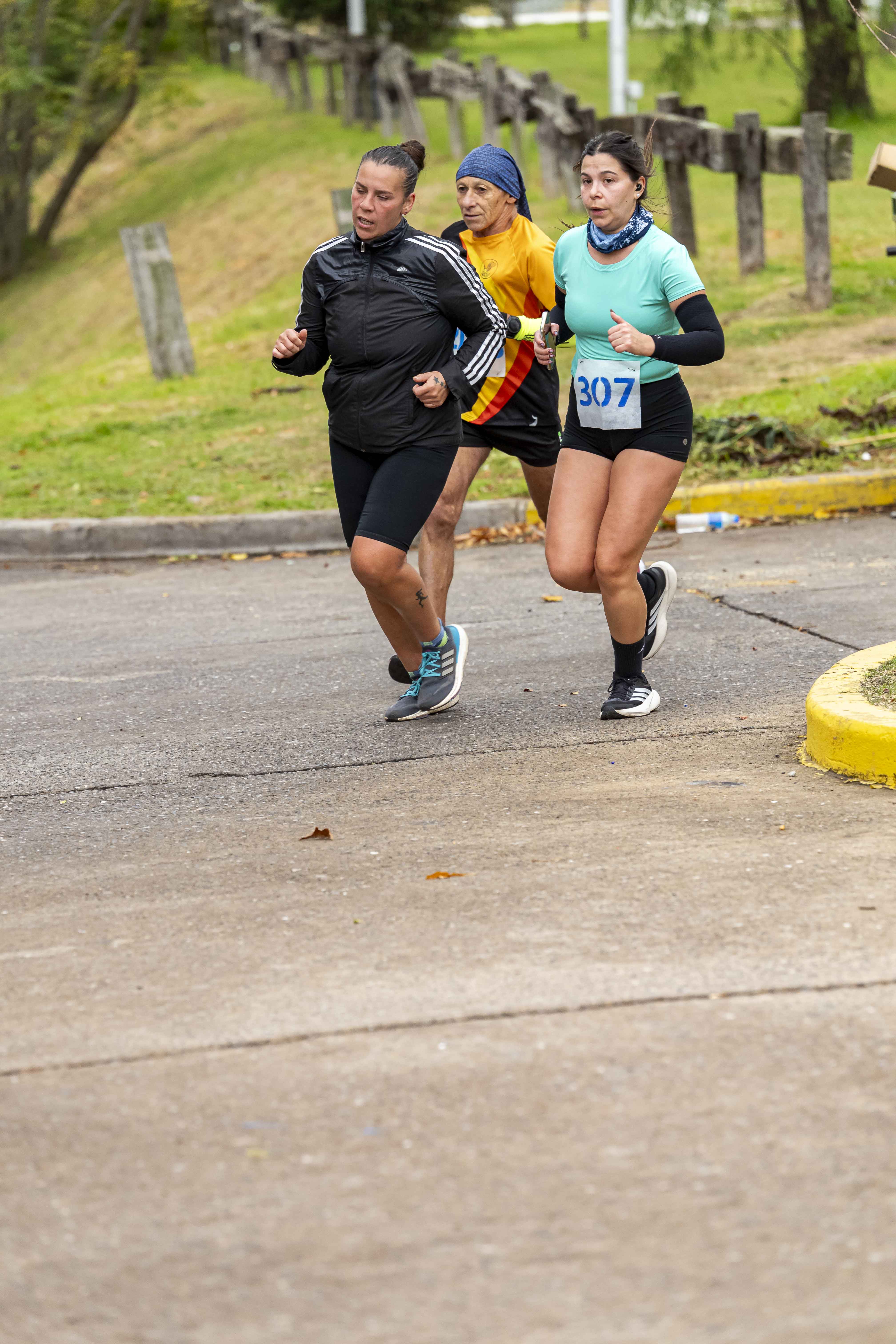 Foto Dorsal 307