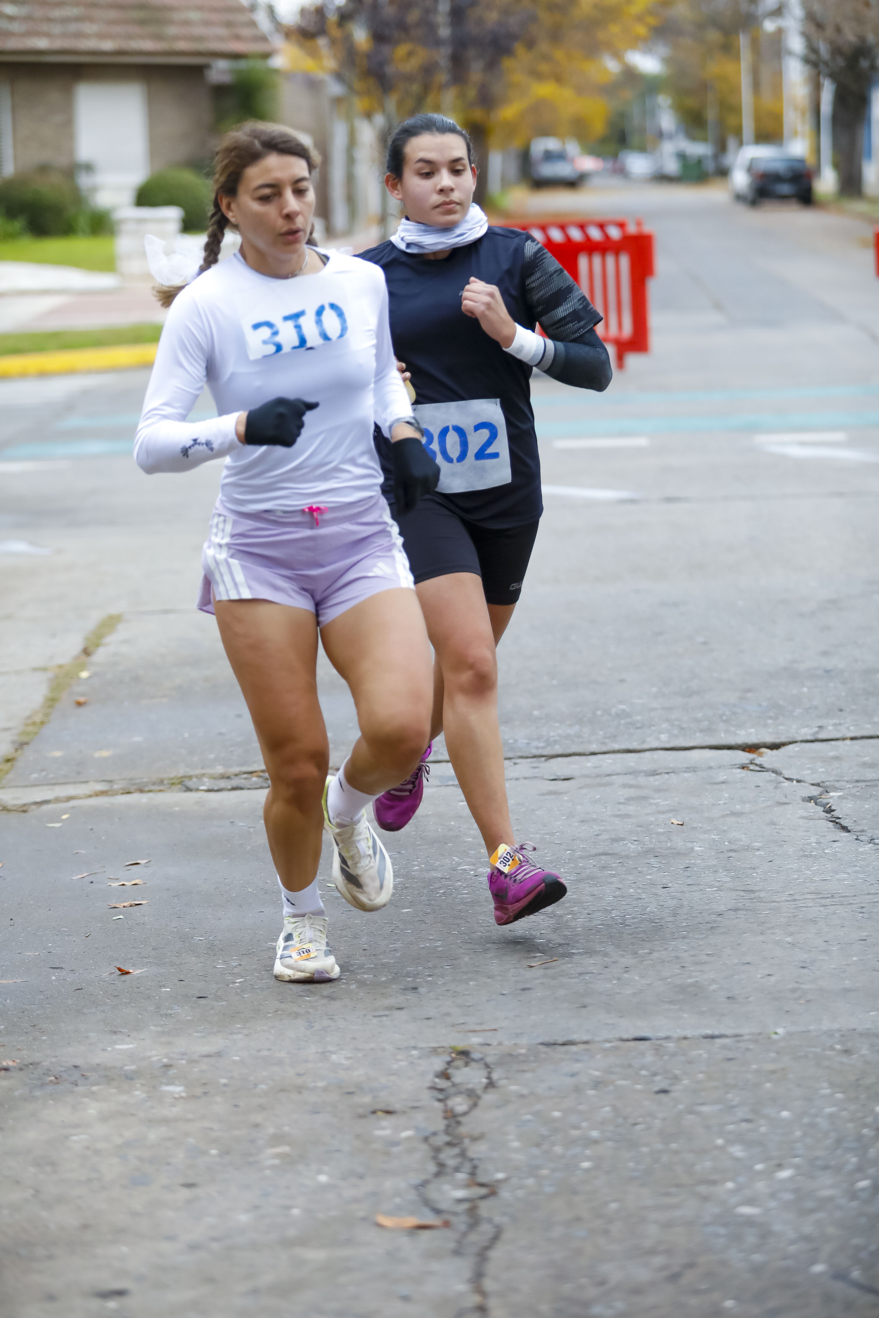 Foto Dorsal 310
