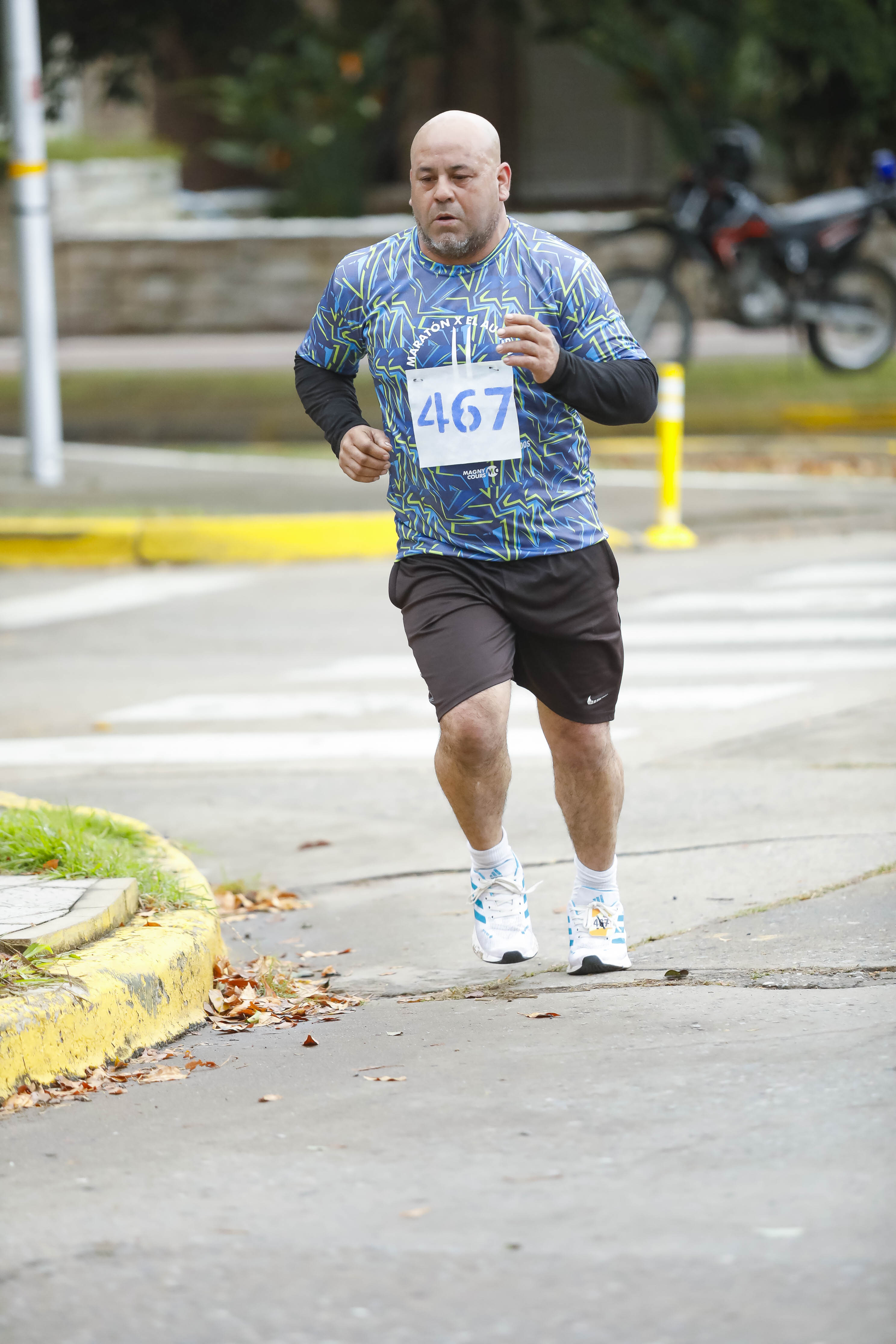 Foto Dorsal 467