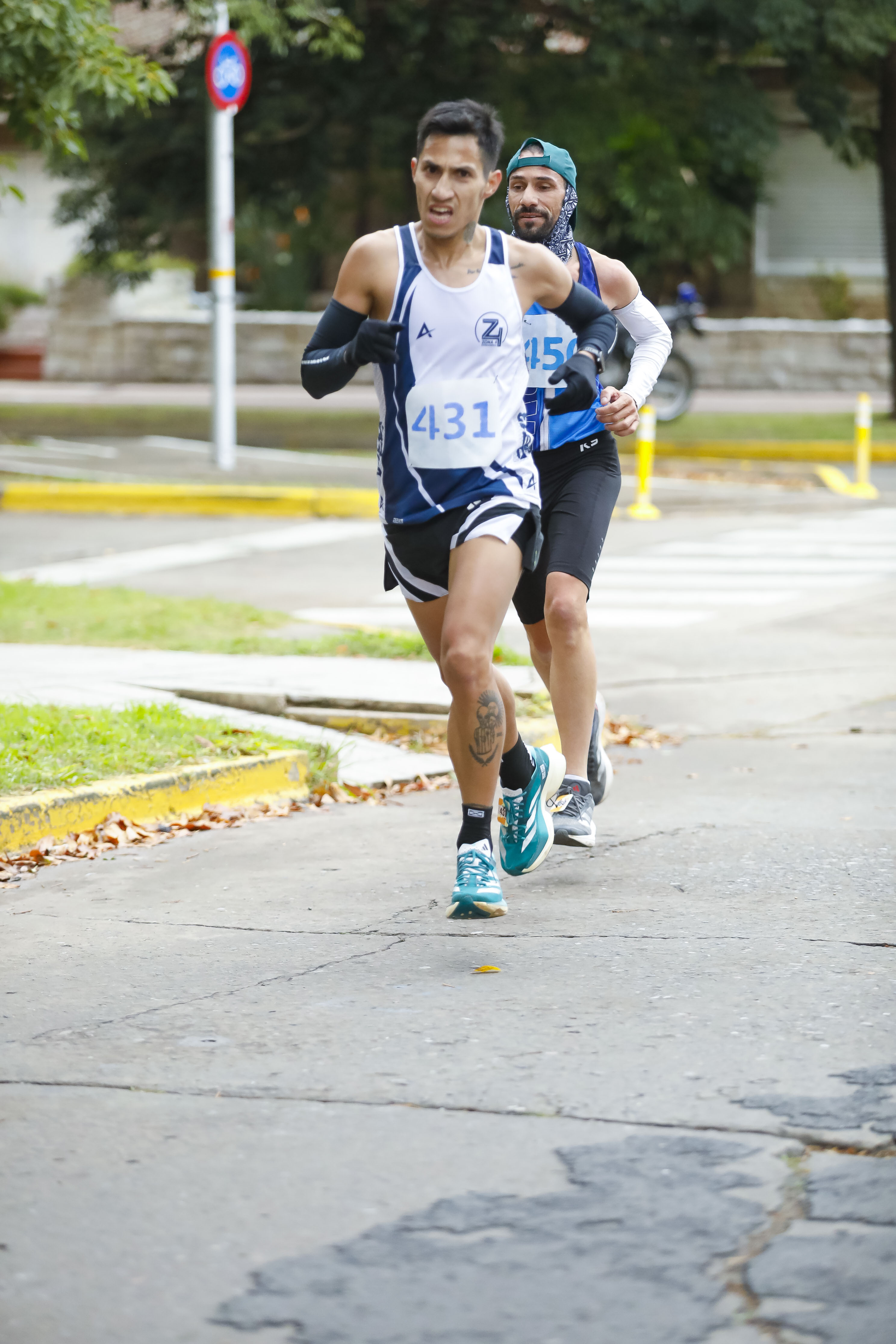 Foto Dorsal 431