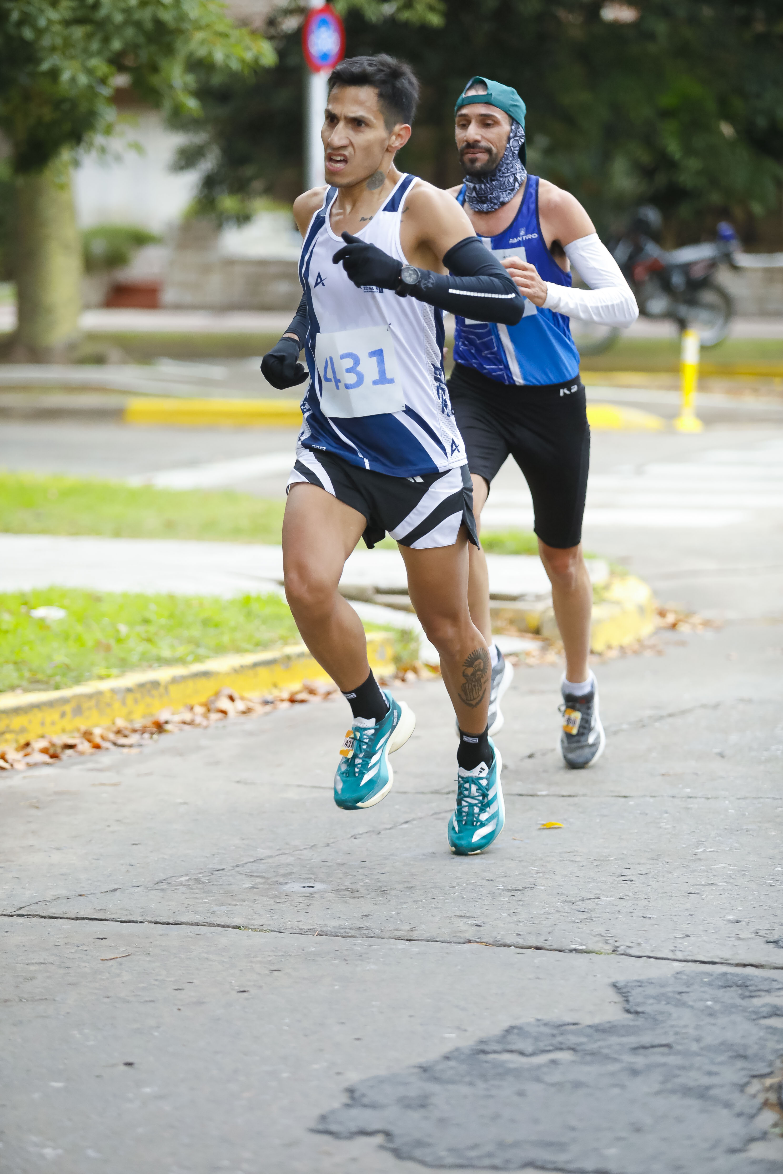 Foto Dorsal 431