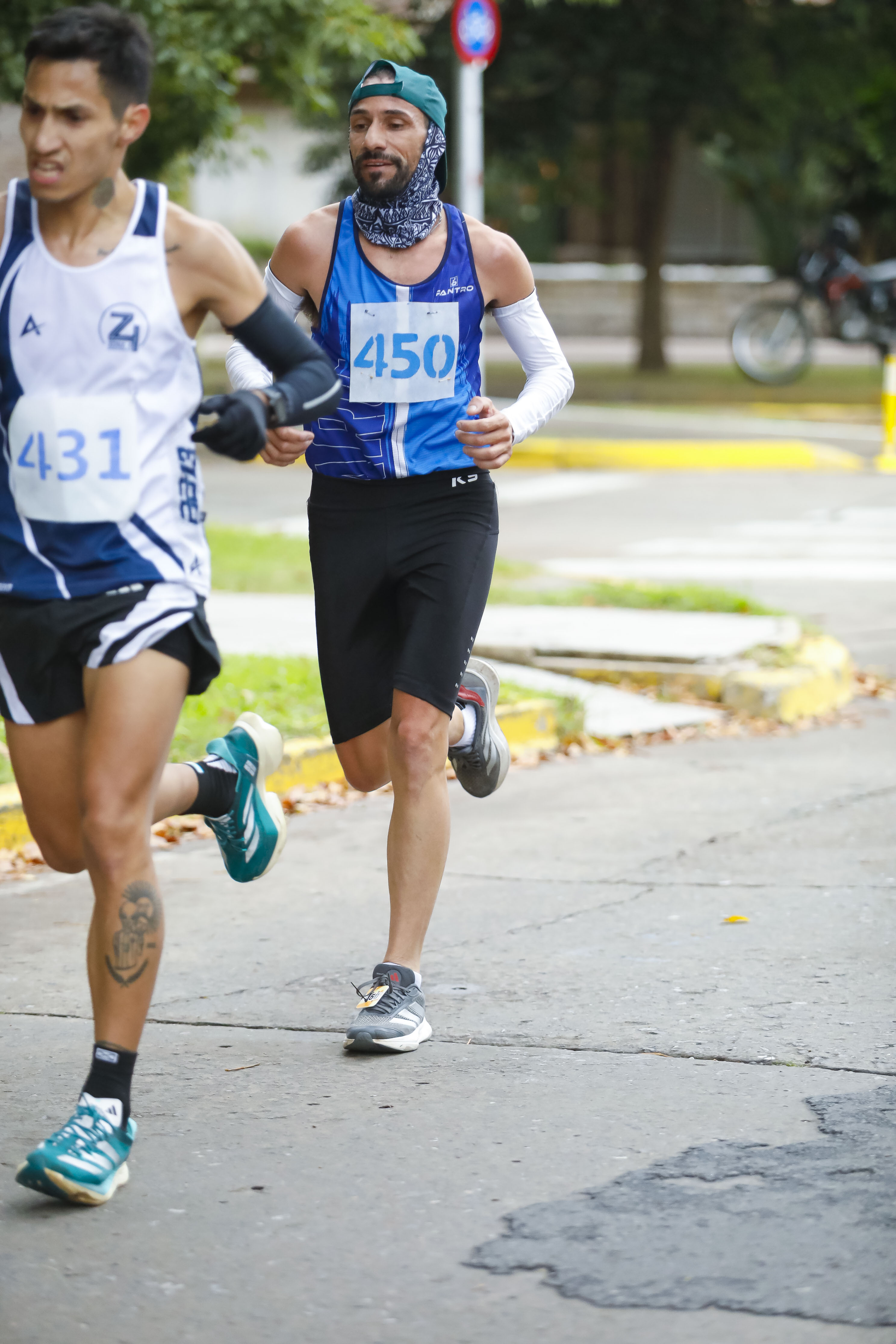 Foto Dorsal 450