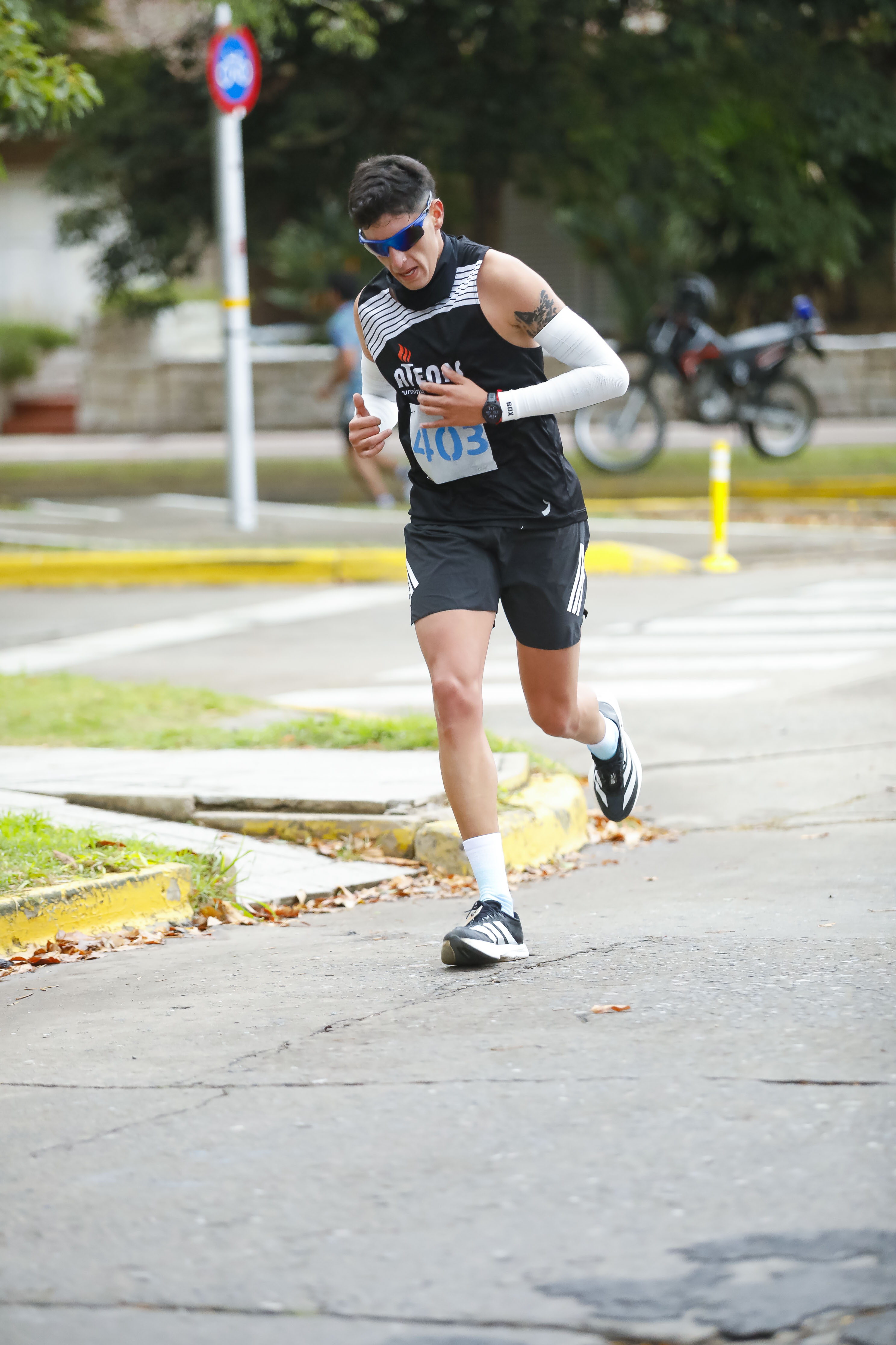 Foto Dorsal 403