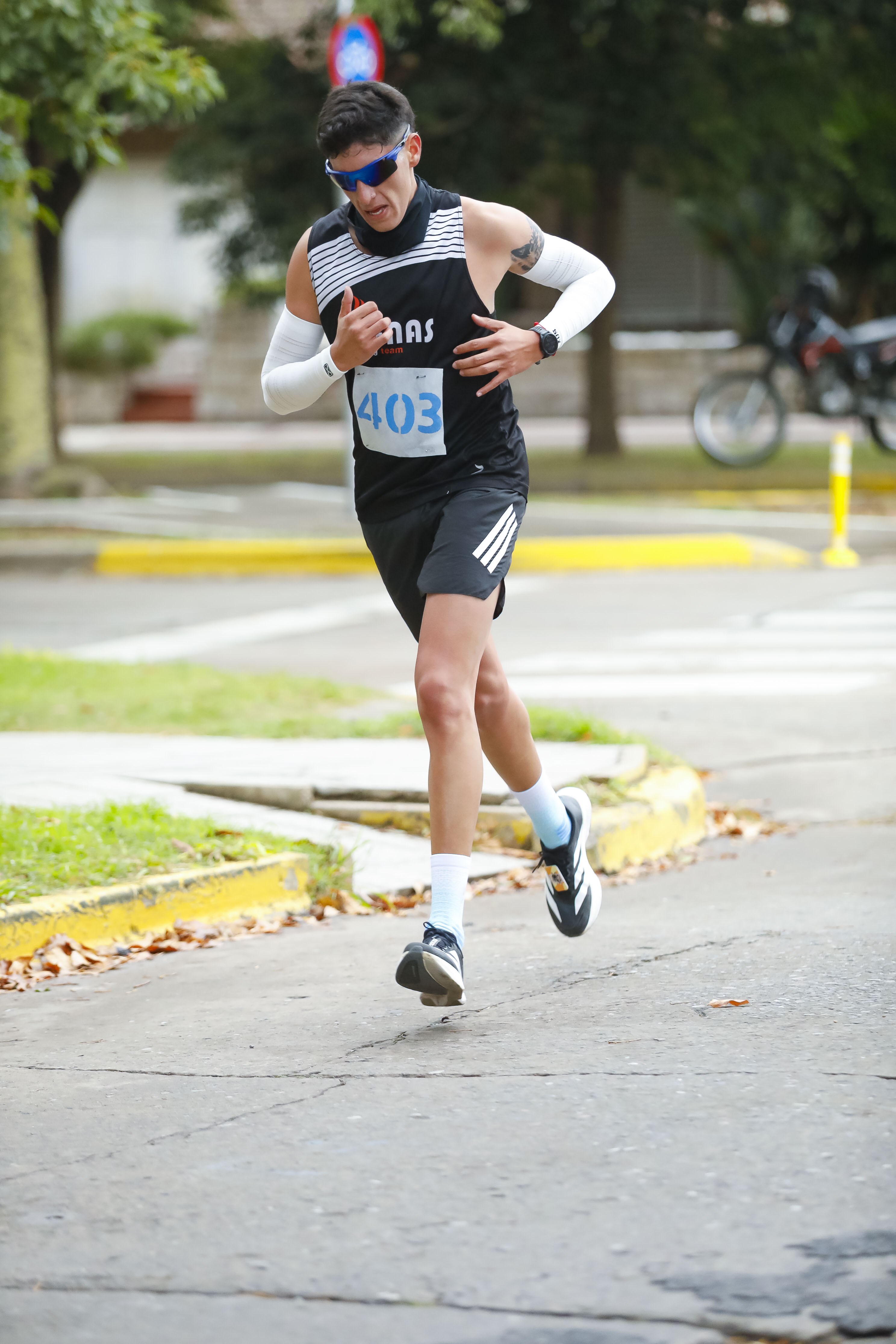 Foto Dorsal 403