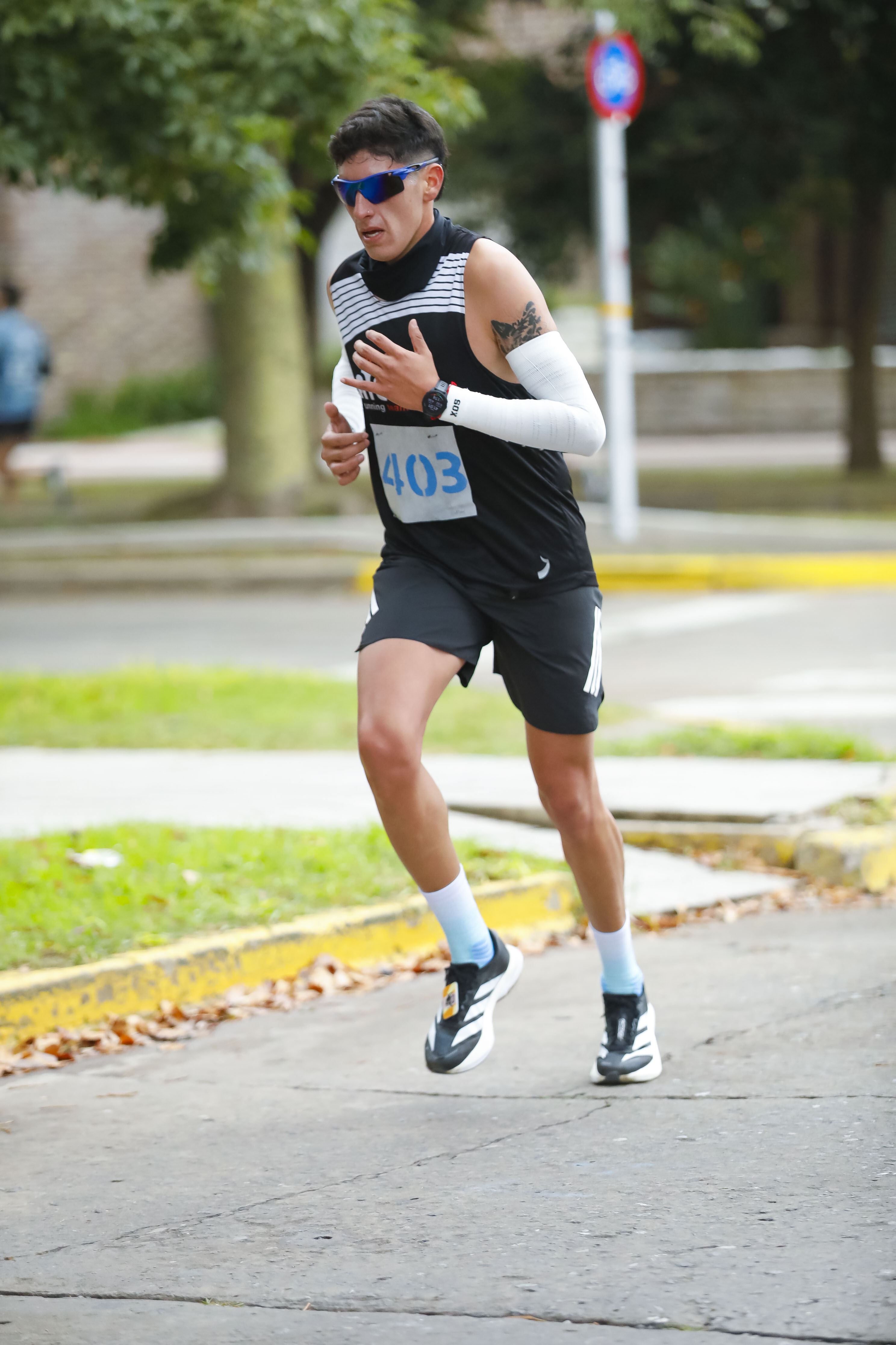 Foto Dorsal 403