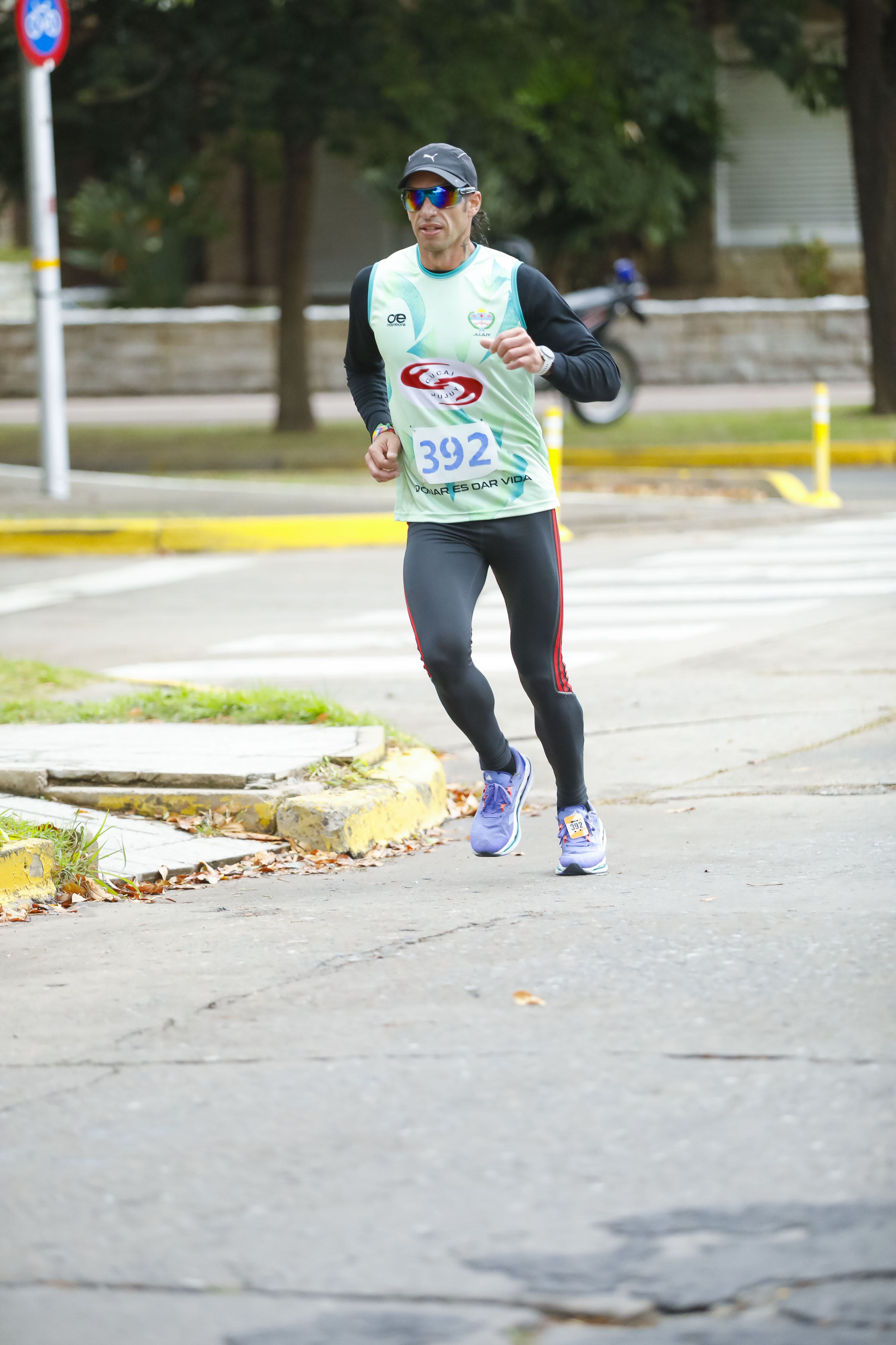 Foto Dorsal 392