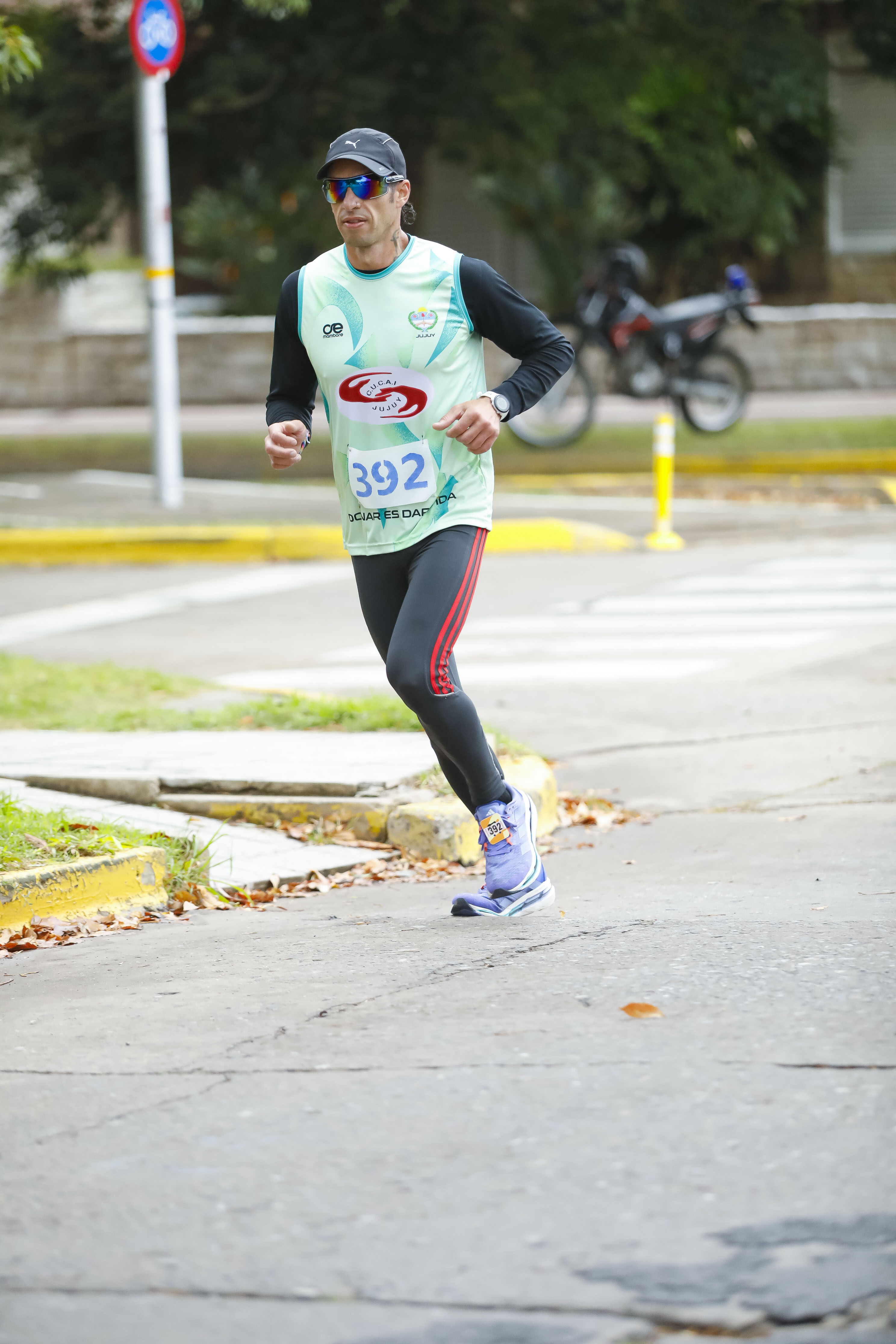 Foto Dorsal 392
