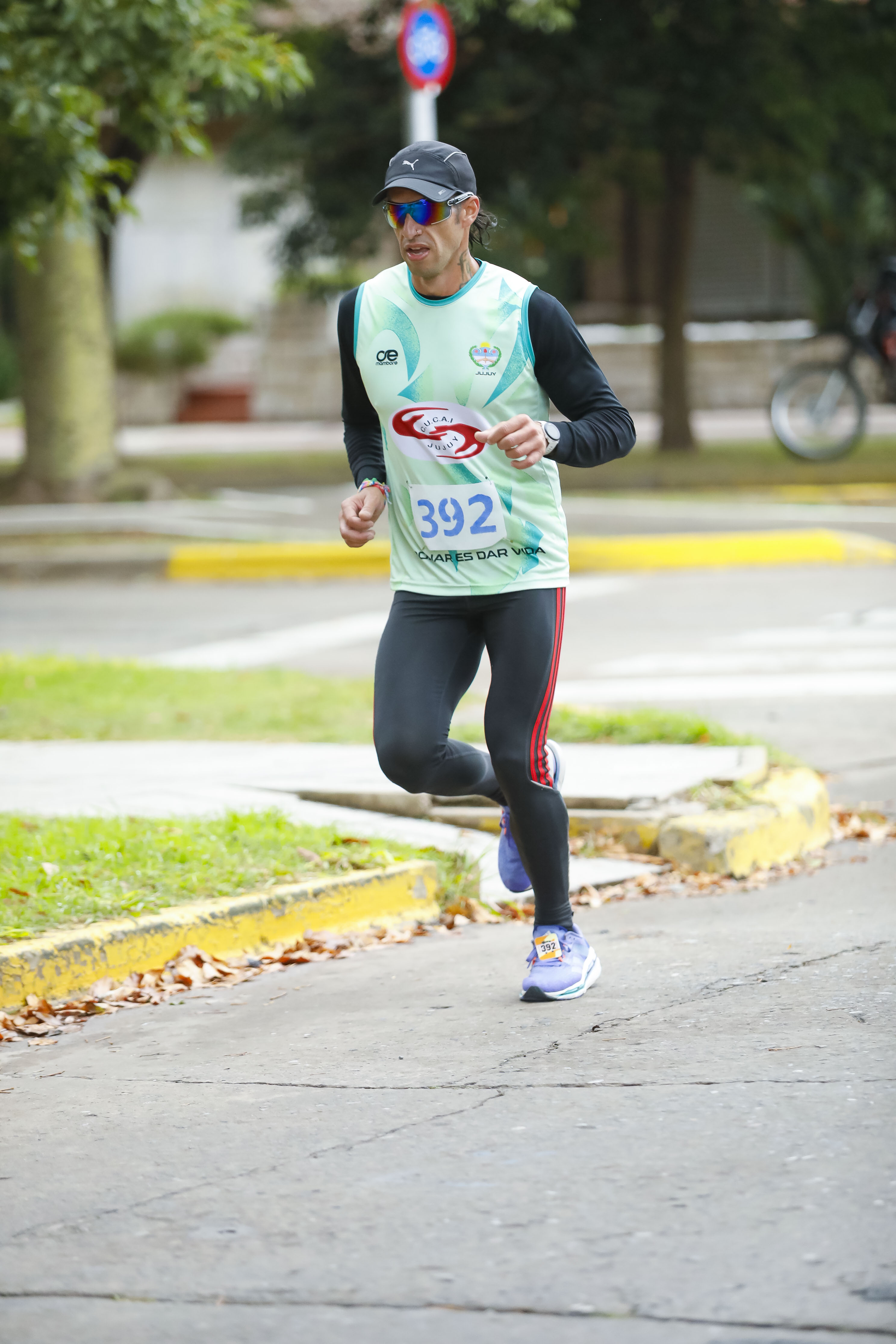 Foto Dorsal 392