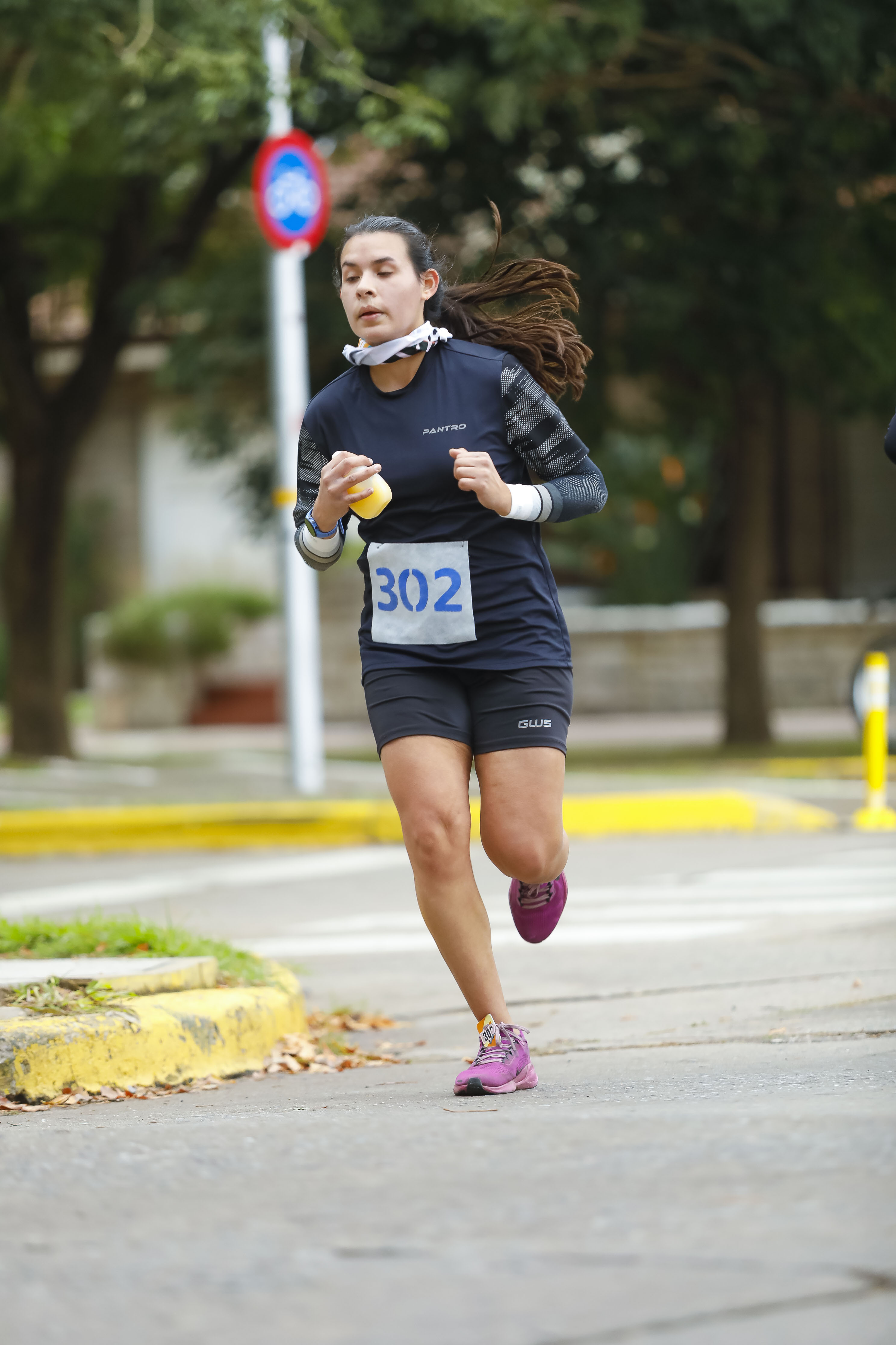 Foto Dorsal 302