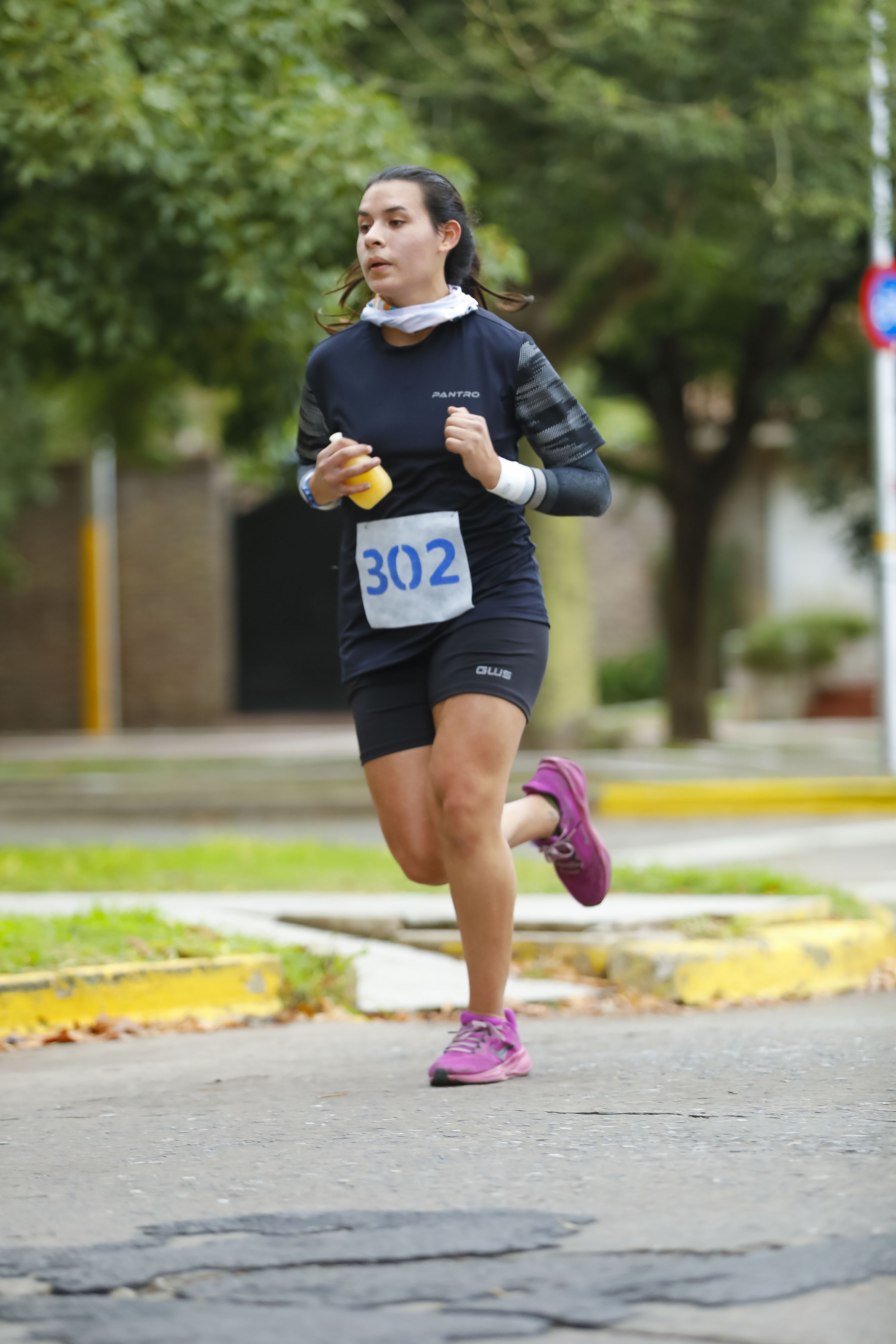 Foto Dorsal 302