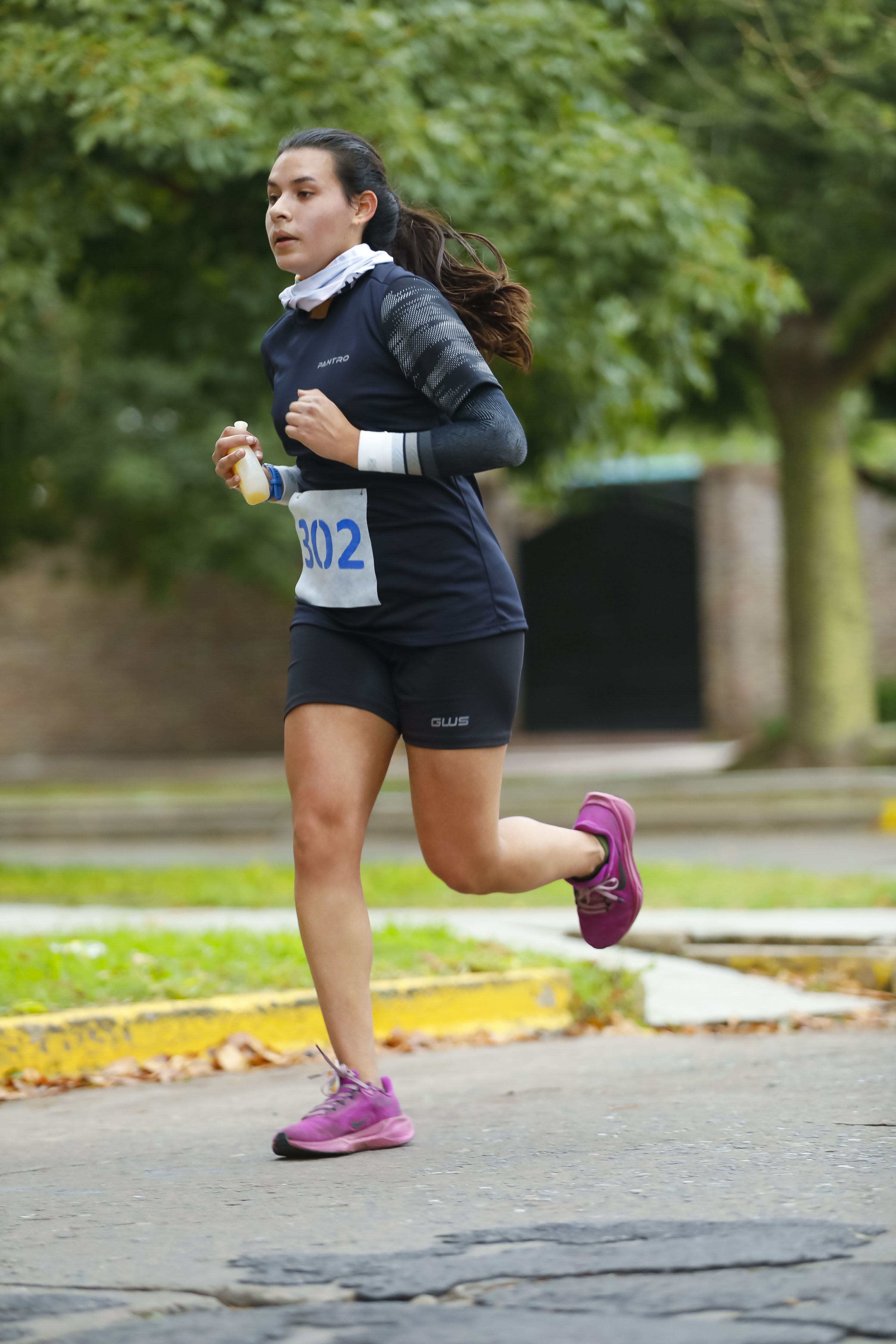 Foto Dorsal 302