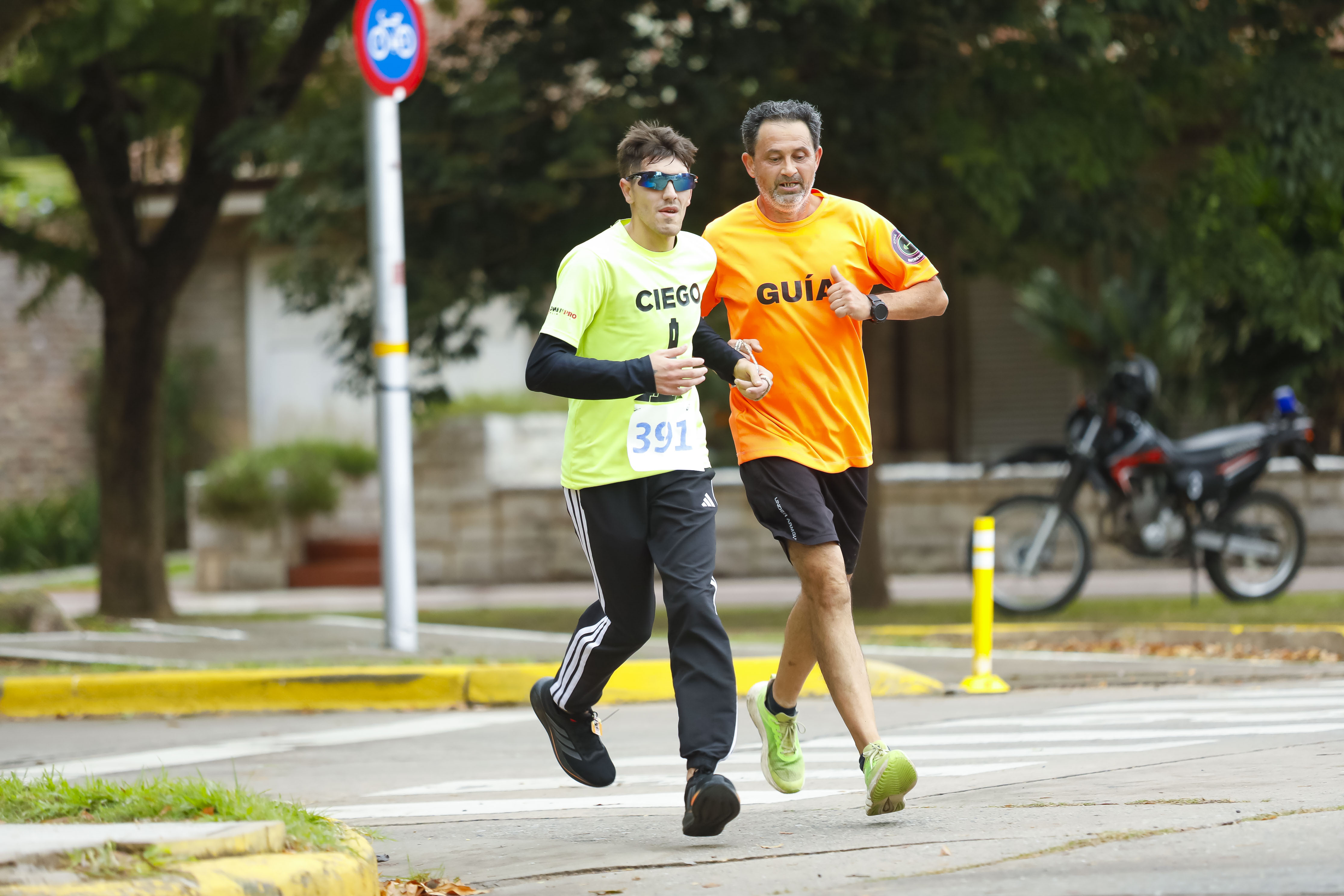 Foto Dorsal 391