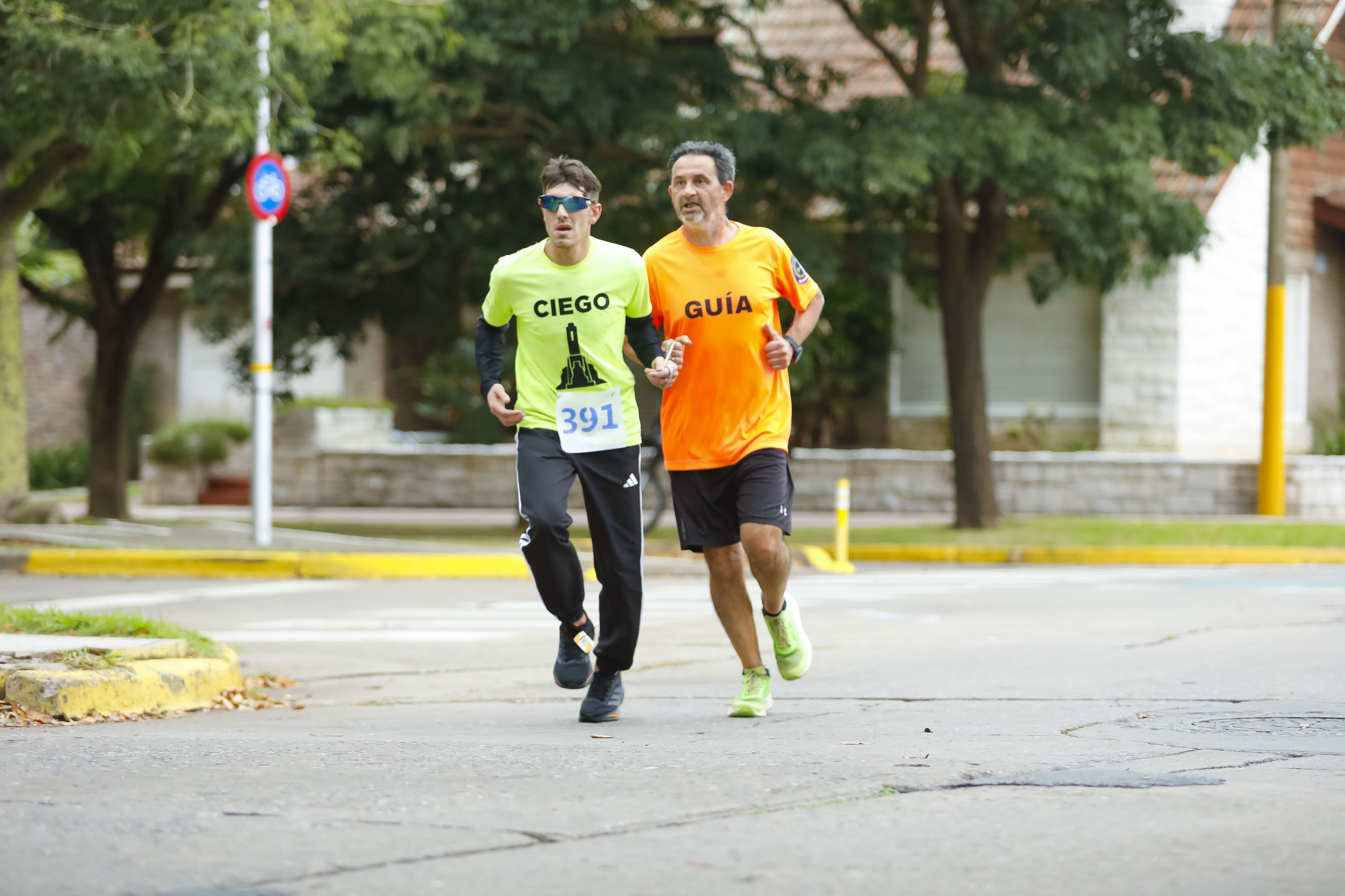 Foto Dorsal 391