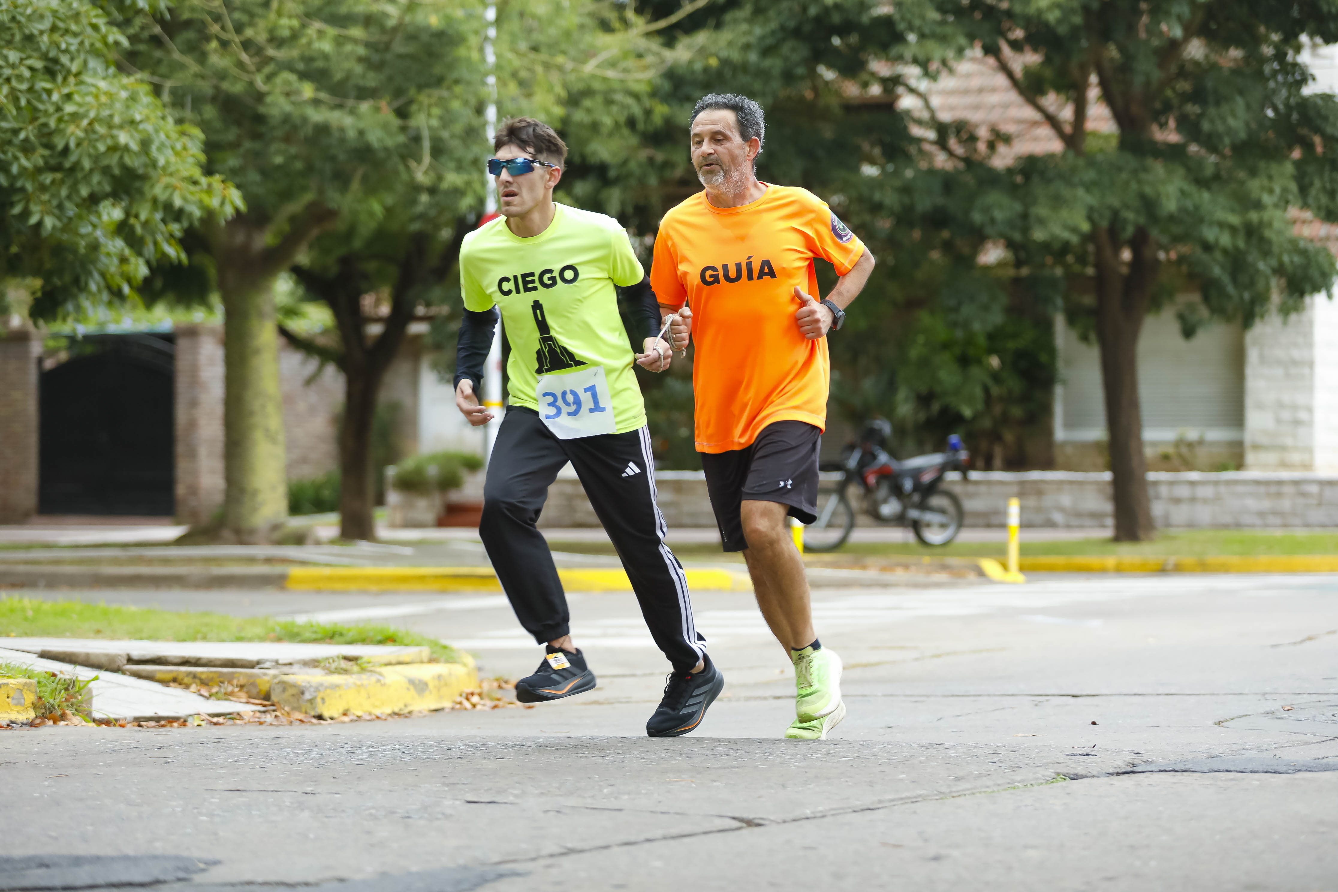 Foto Dorsal 391