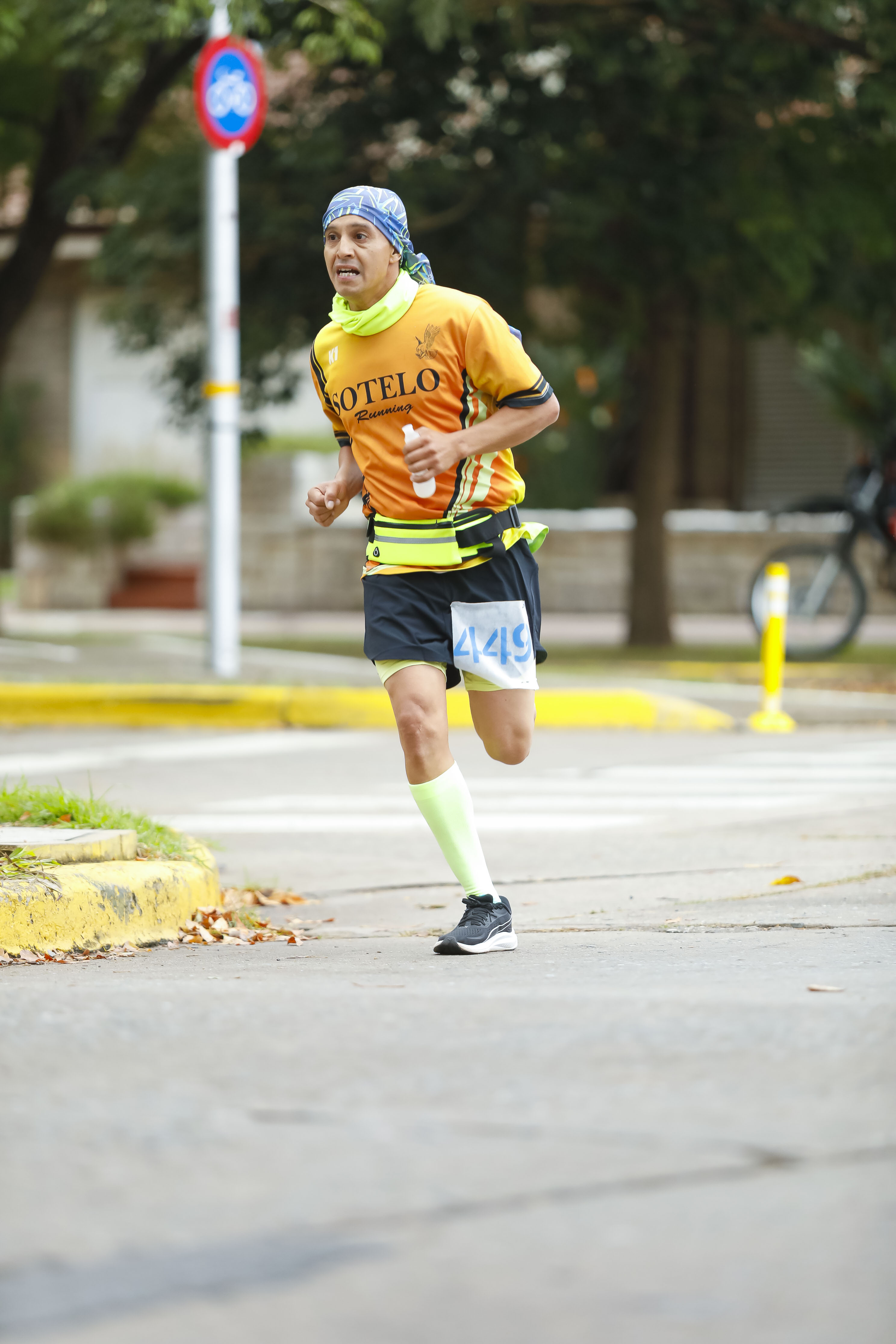 Foto Dorsal 449