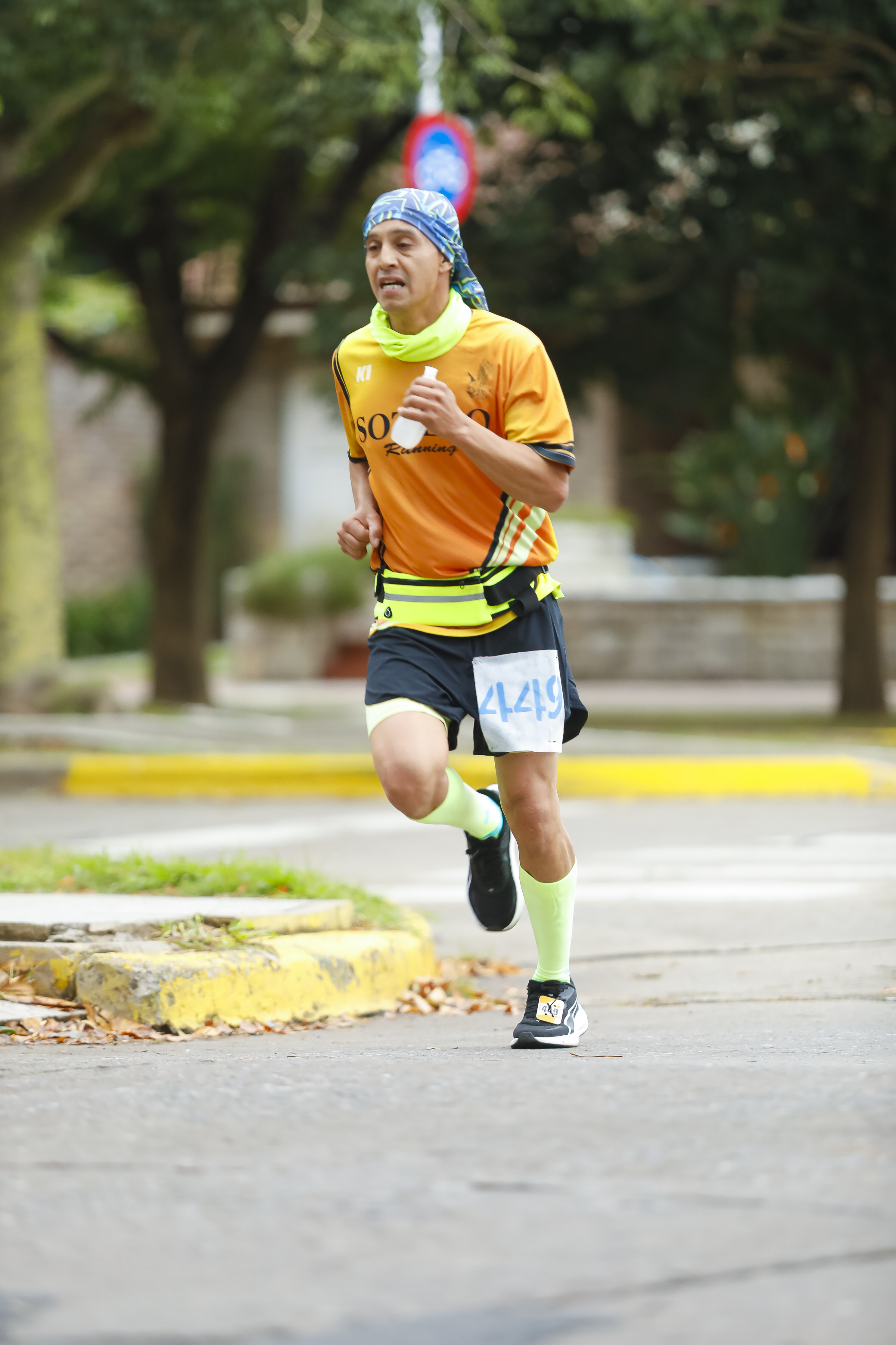 Foto Dorsal 449