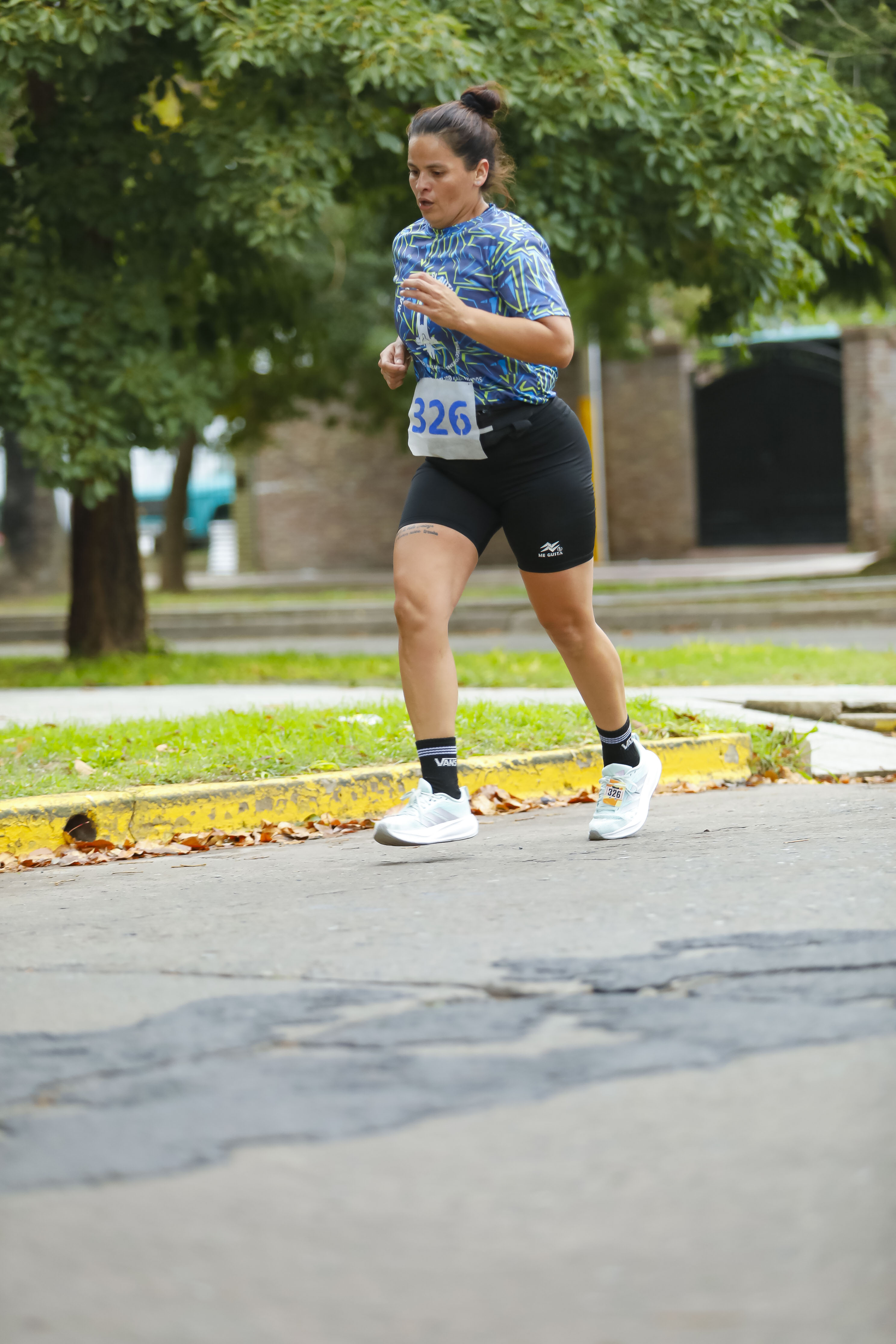 Foto Dorsal 326